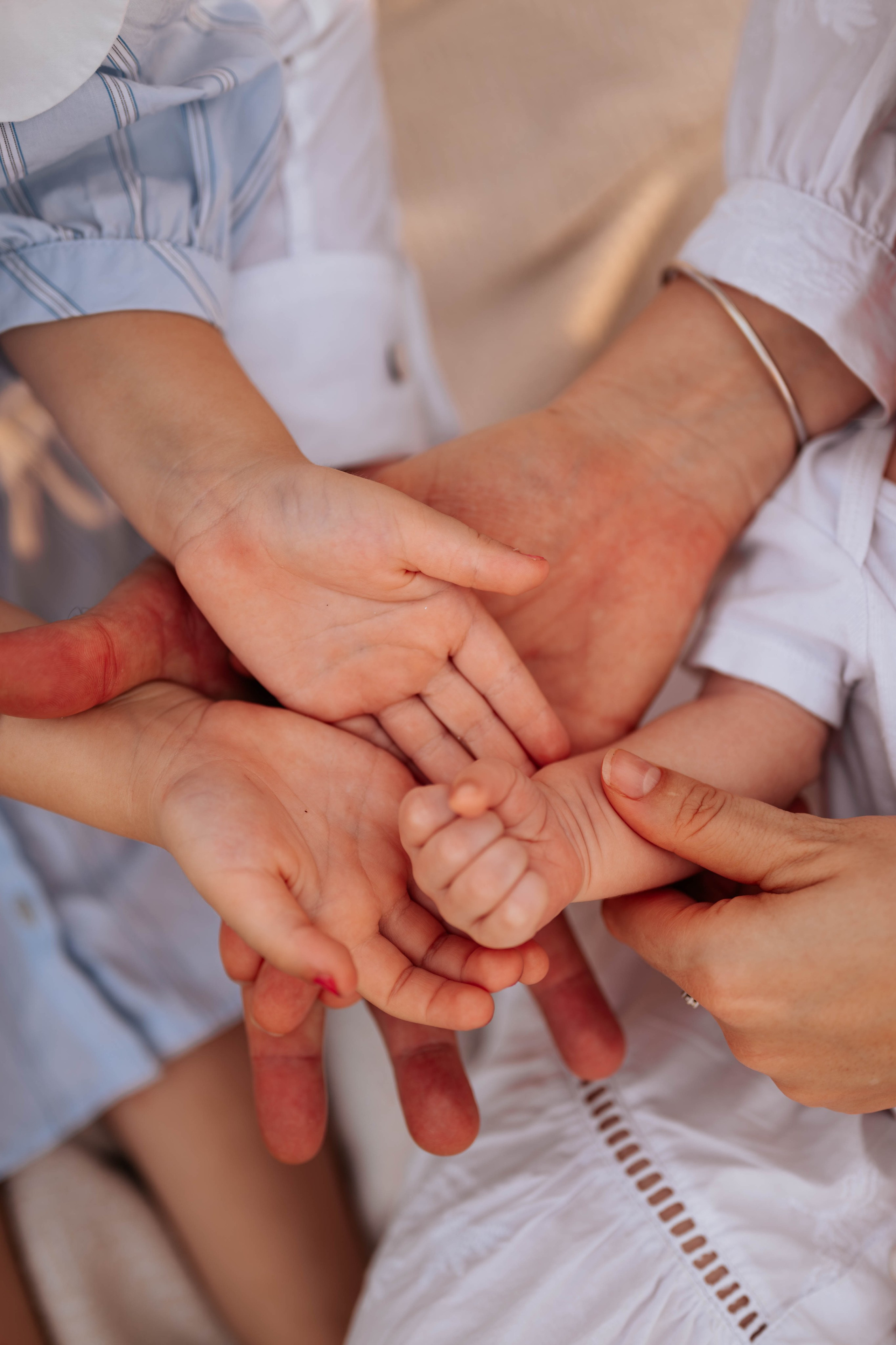 Mirjana, Nikola, Nađa i Filip - porodično fotografisanje. Dečiji i porodični fotograf