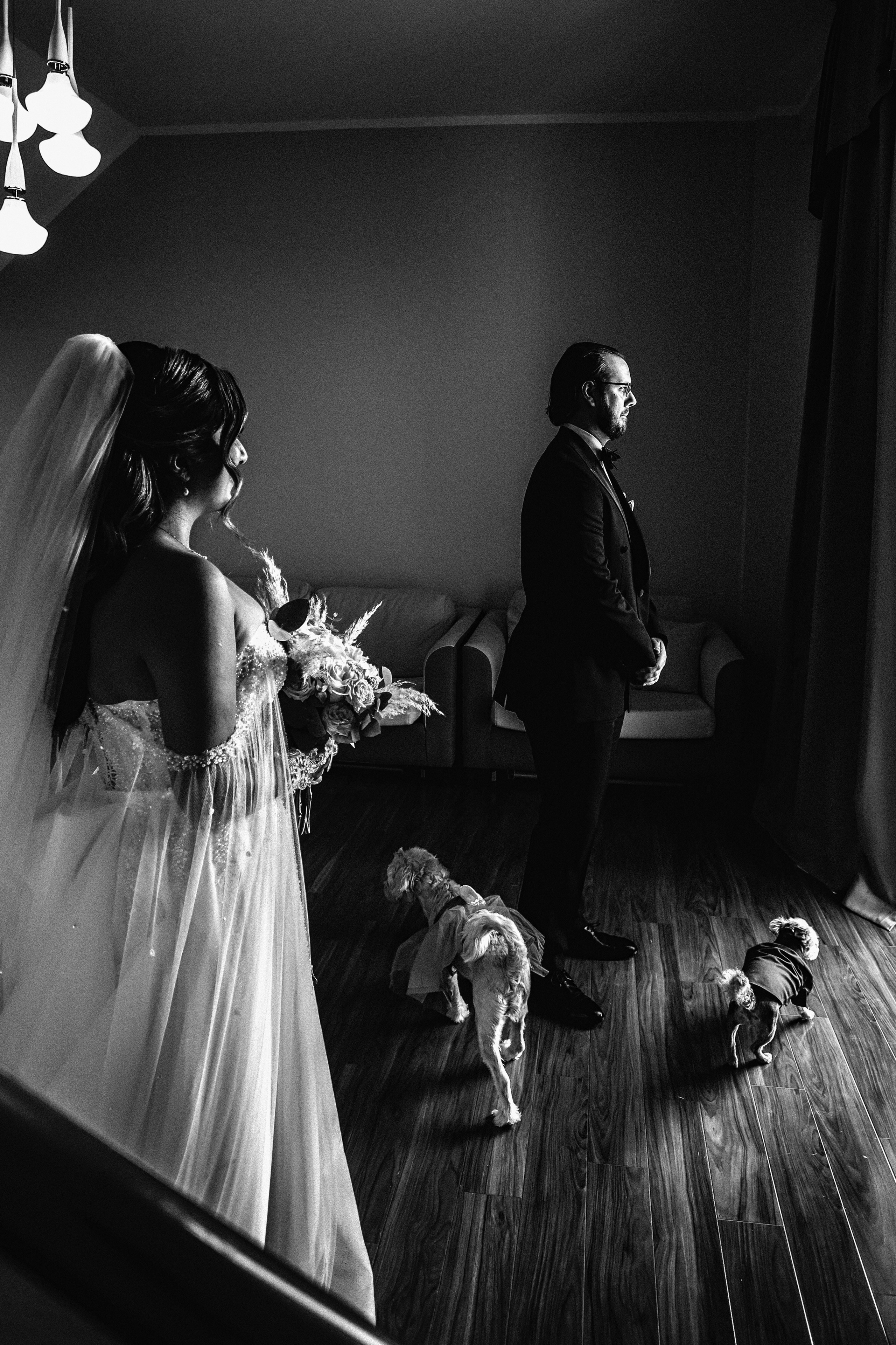 Mojan & Dylan. Свадебный, семейный и детский фотограф в Беларуси и за ее пределами