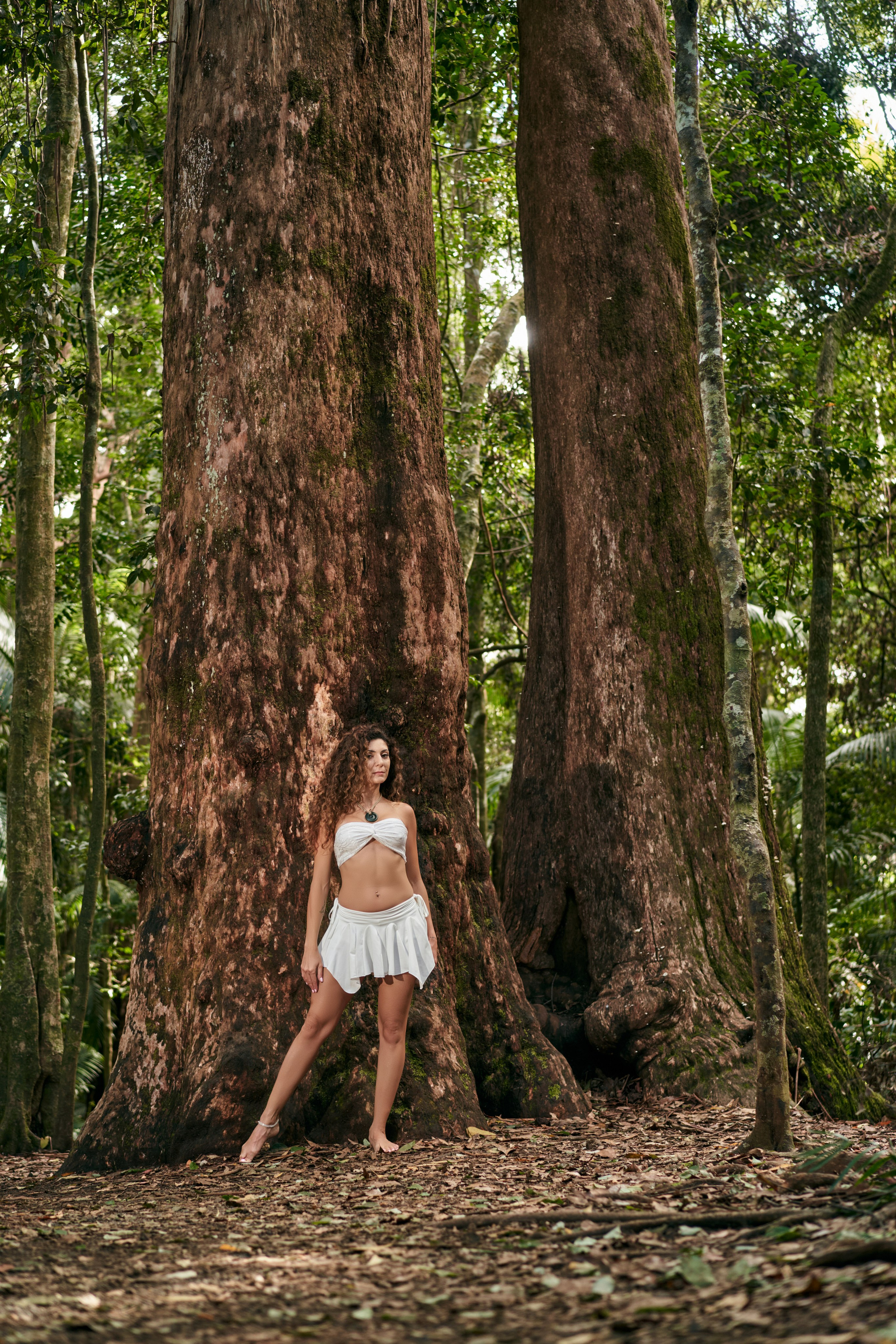 Tropical Forest with Ran. Welcome!