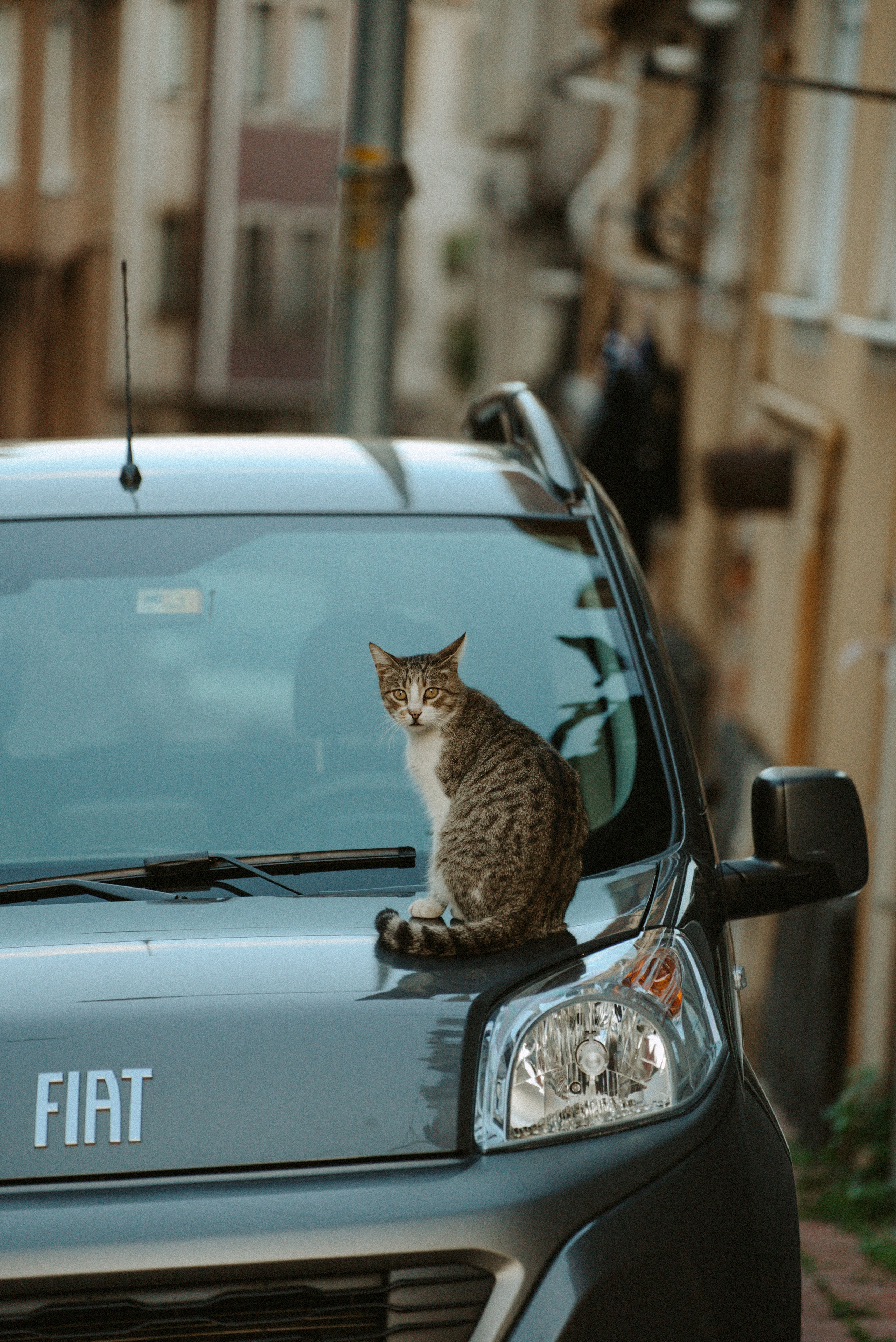 СТАМБУЛ. Стрит-фотография, полная абсурда, идиотизма и красоты