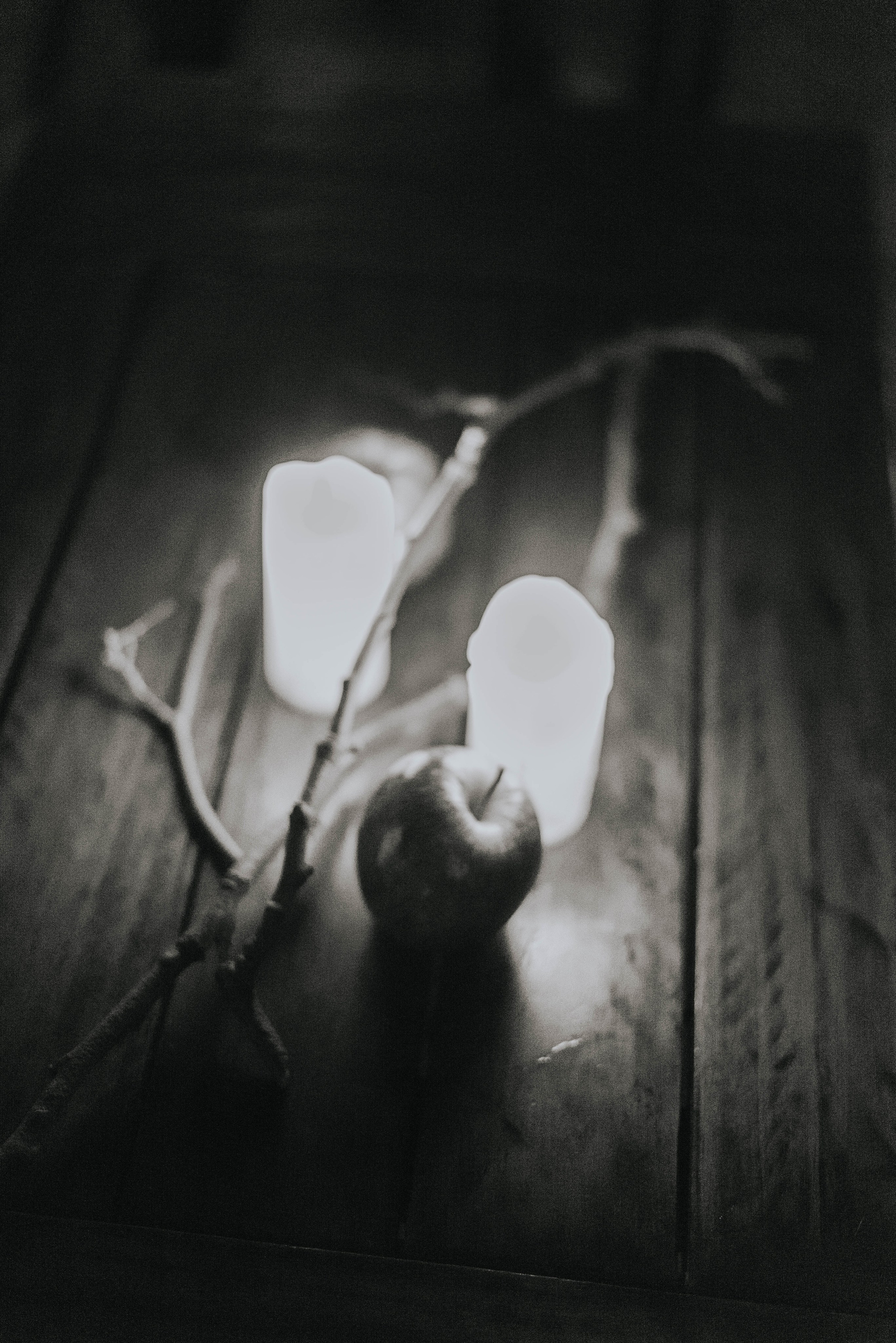 Ladno.cooperativa. Photographer @elmirkami in the city of Buenos Aires