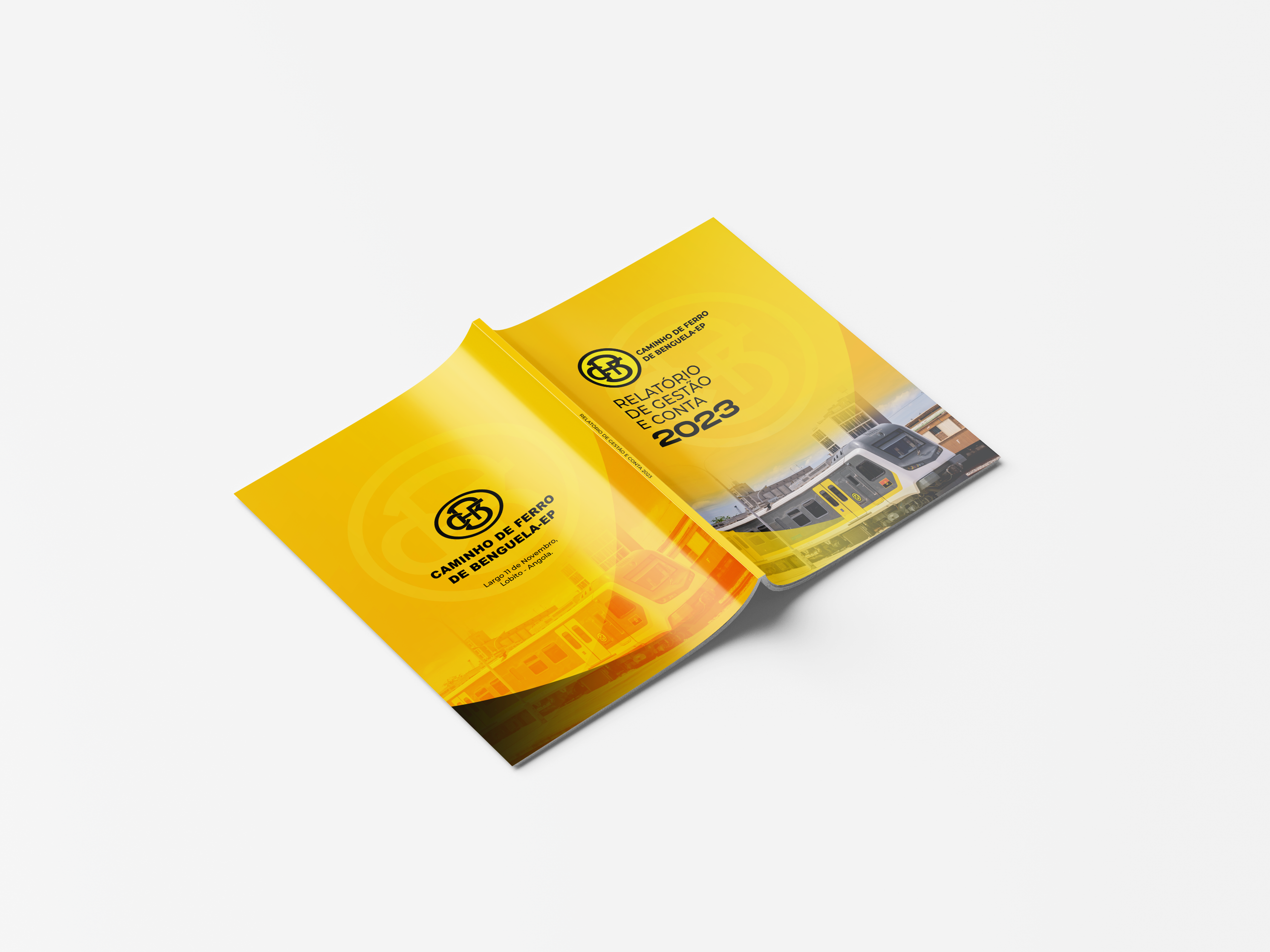 Relatório de Gestão e Contas — CFB