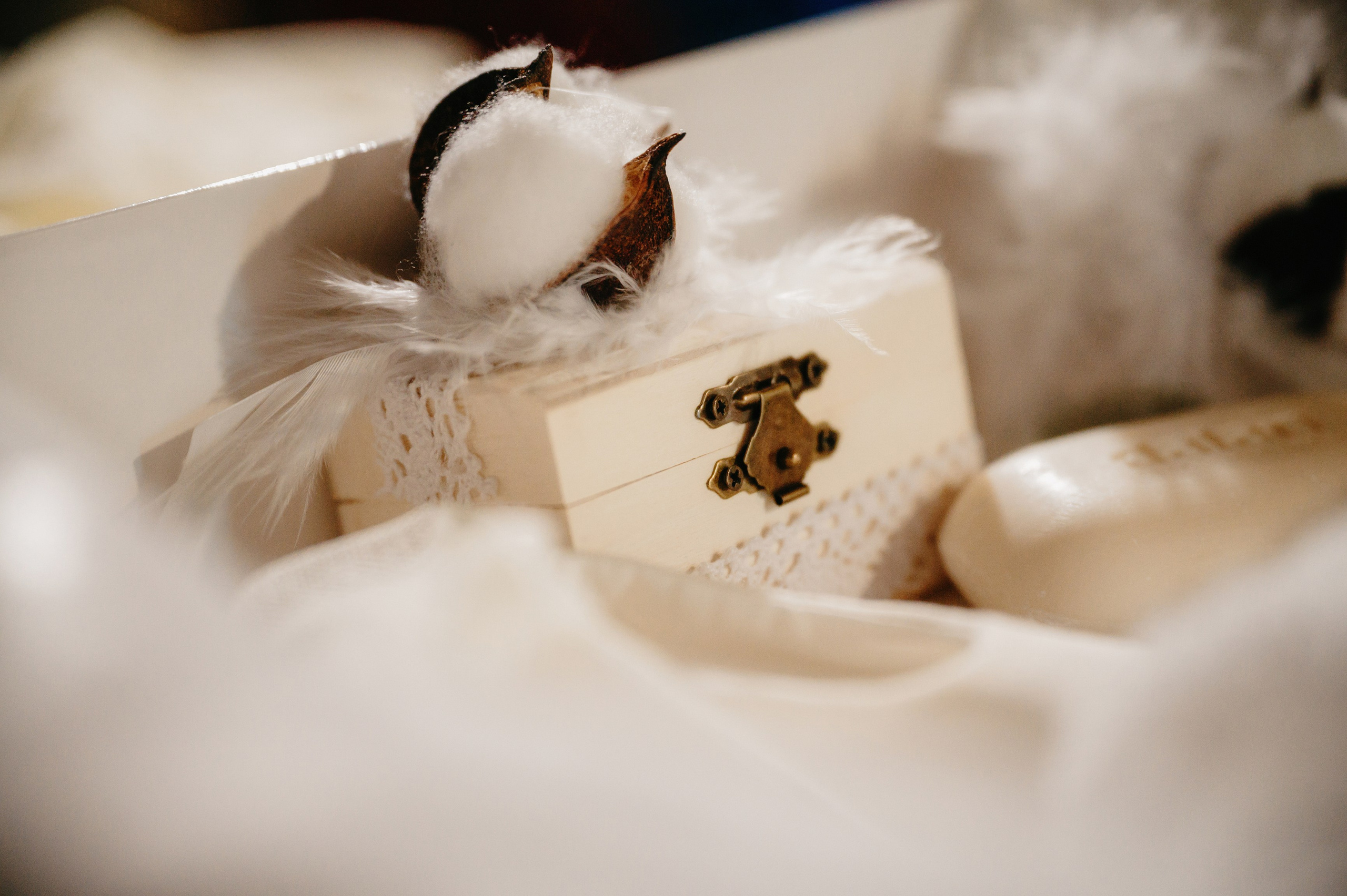 BOTEZ Ana Natasha. Laurentiu Stefan StoryTeller