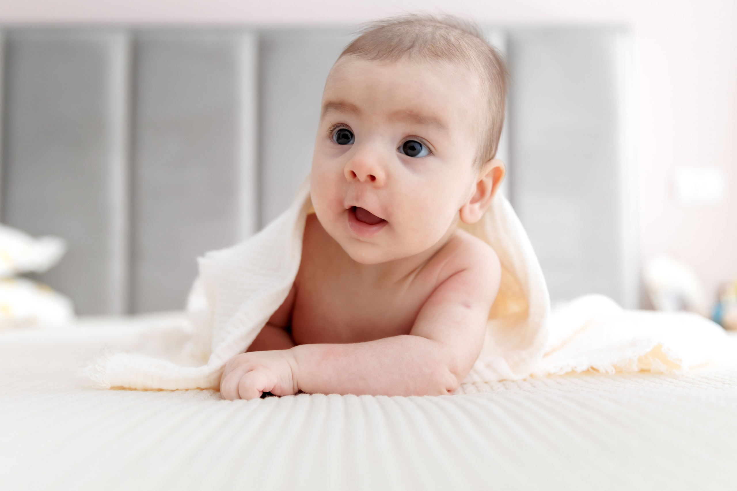 Vladimir Mihai - Botez București. Fotograf Profesionist Pitesti-Bucuresti| Mircea Seinea