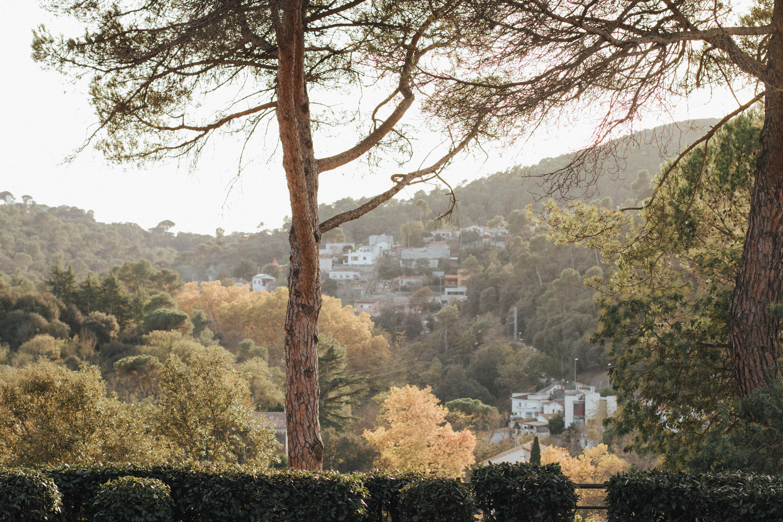 Алина, Tibidabo. Главная