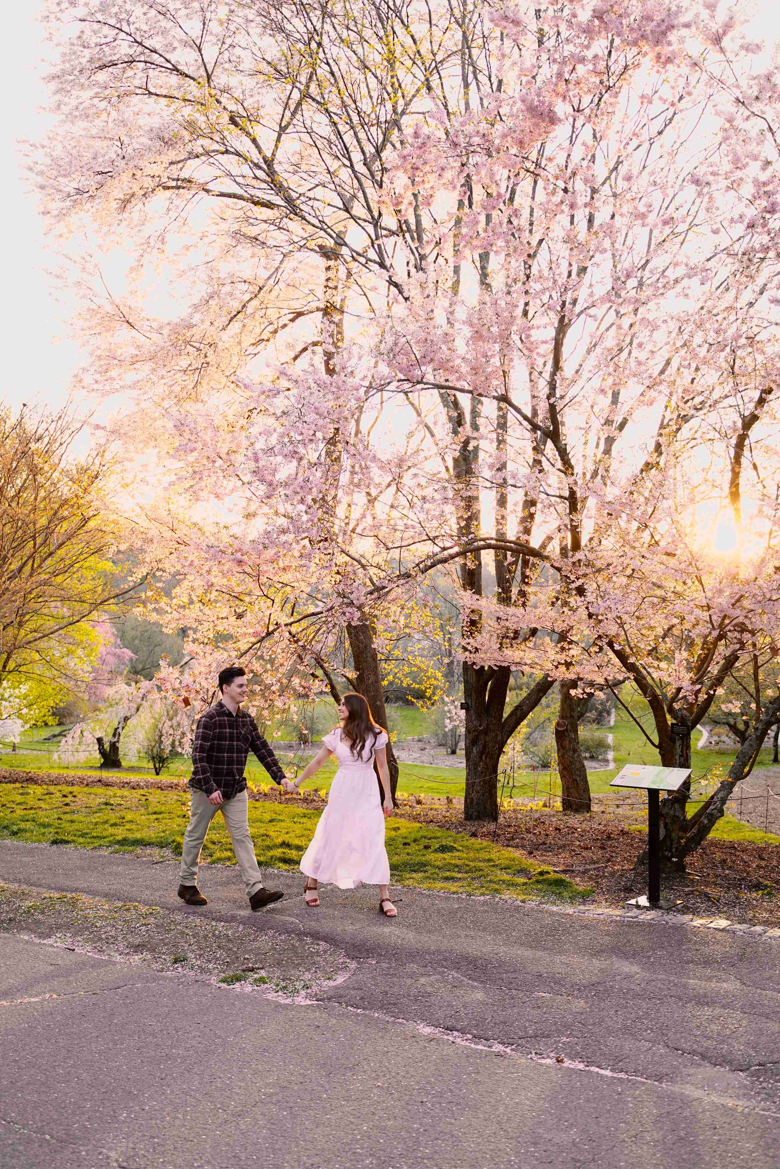 Engagement-miami. Stefanovich Photography | Miami, FL