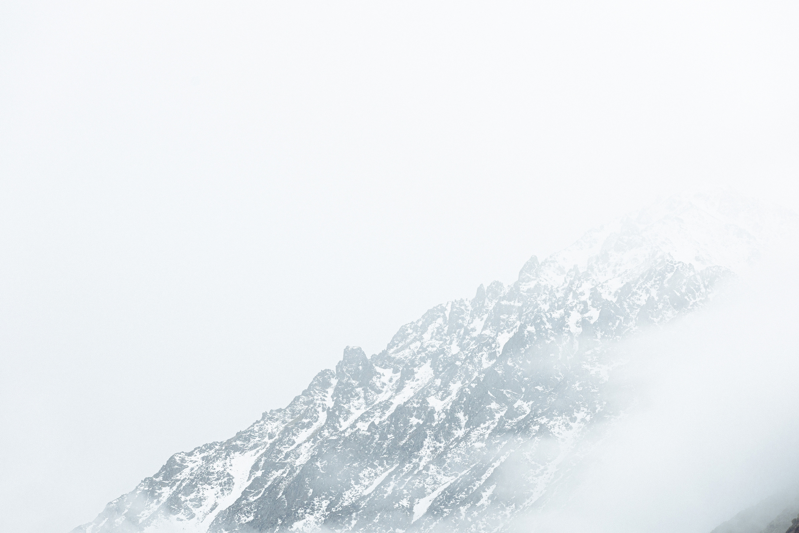 Бека и Бема. Азимжан Нуритдинходжаев — свадебный фотограф