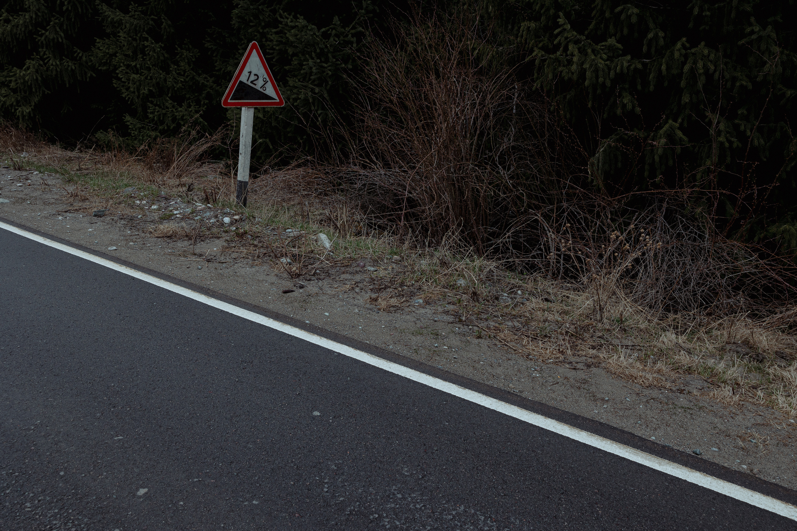 Бека и Бема. Азимжан Нуритдинходжаев — свадебный фотограф