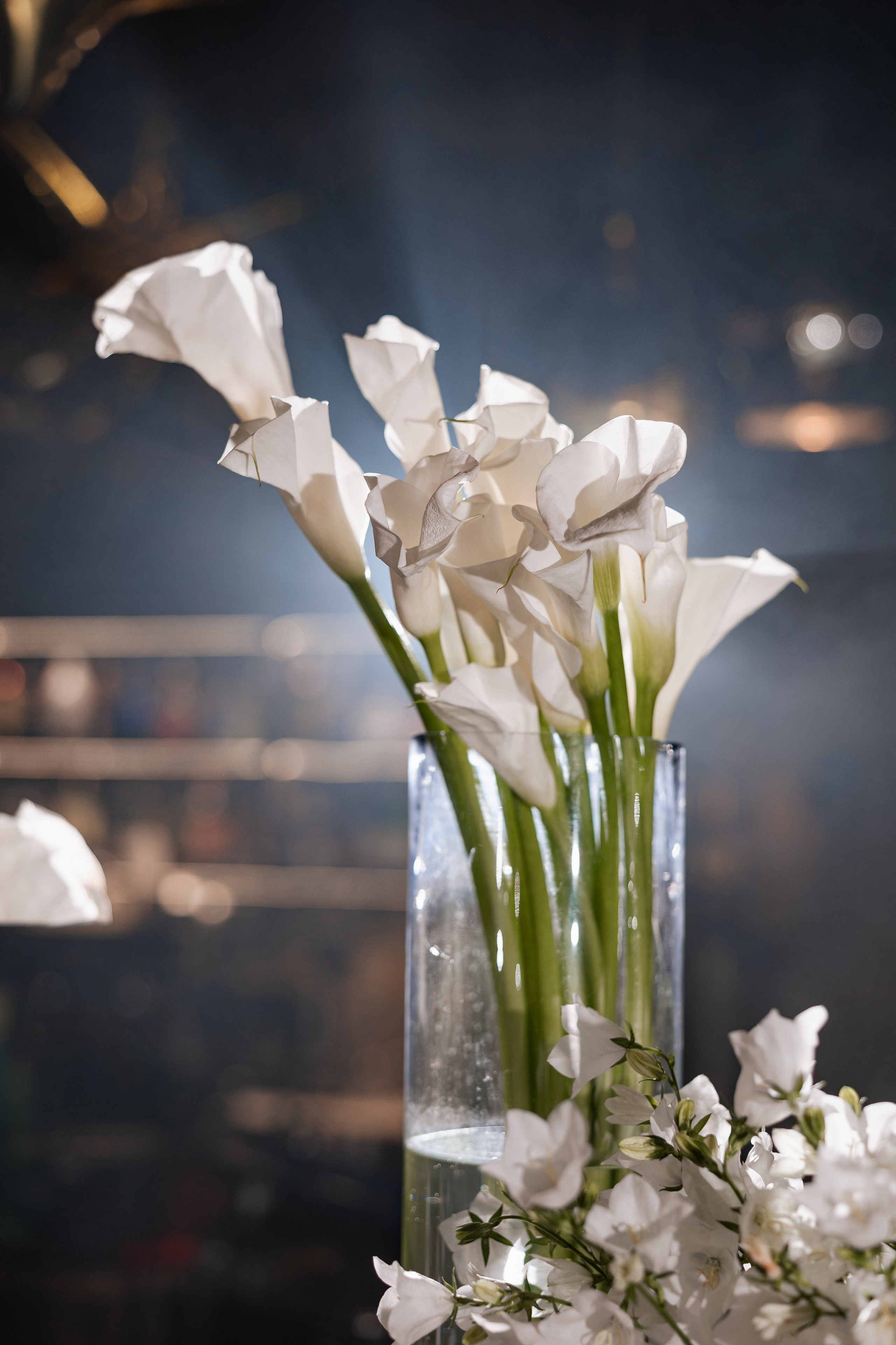 Birthday Party. Азимжан Нуритдинходжаев — свадебный фотограф