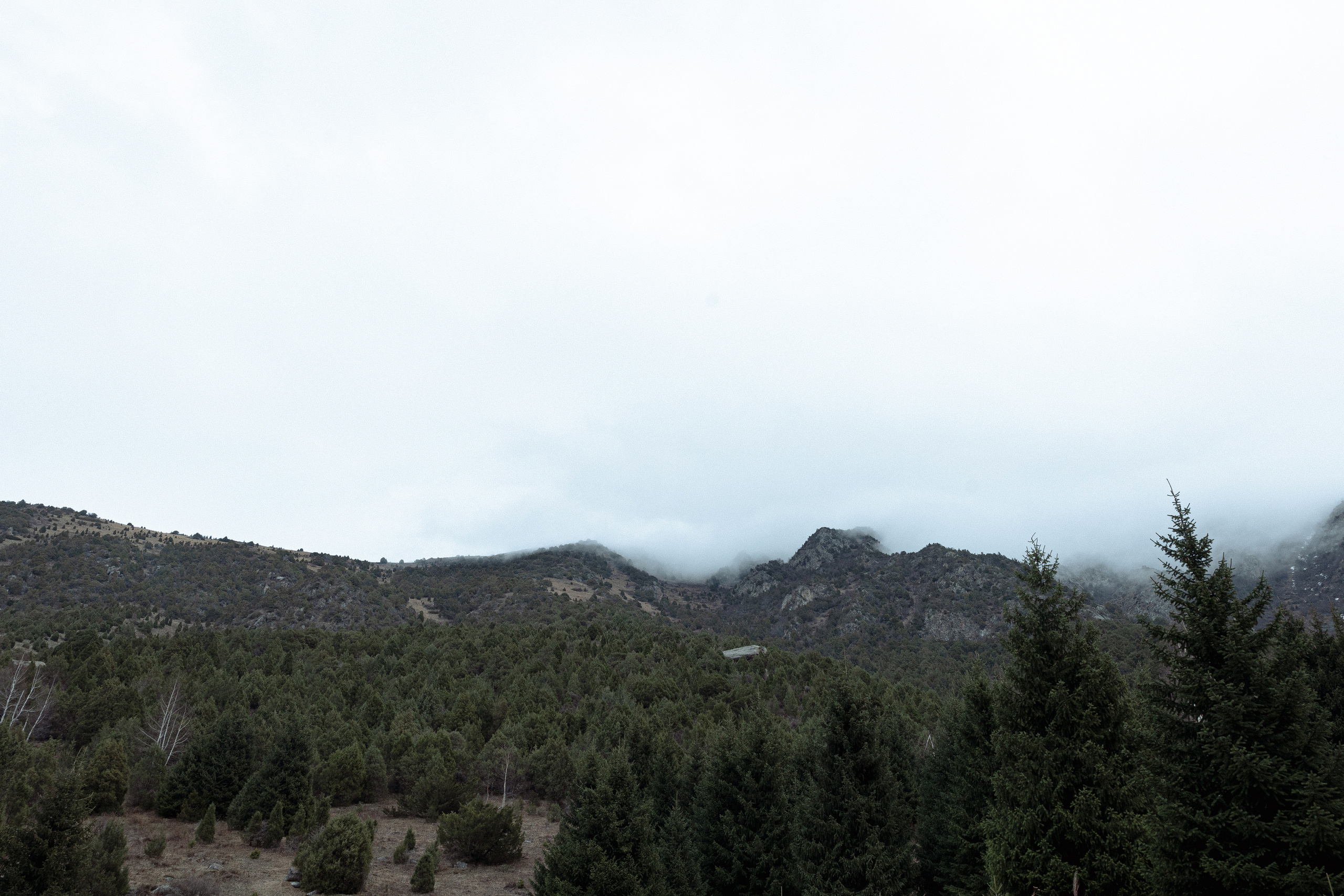 Бека и Бема. Азимжан Нуритдинходжаев — свадебный фотограф