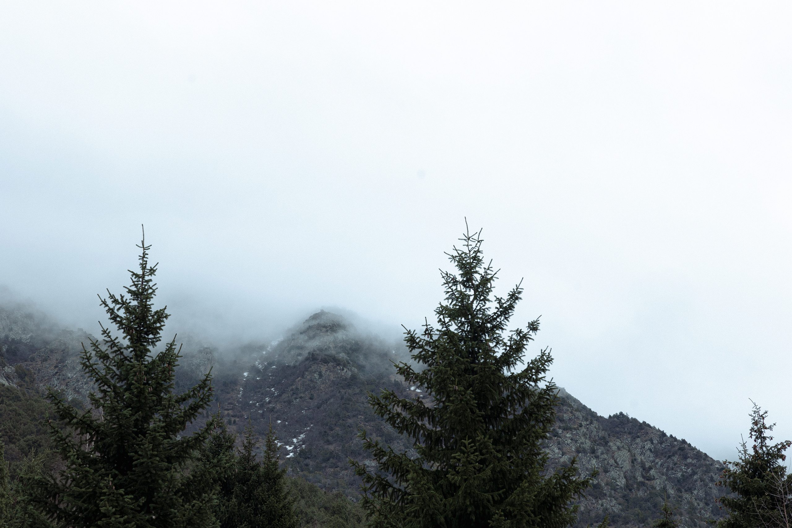 Бека и Бема. Азимжан Нуритдинходжаев — свадебный фотограф