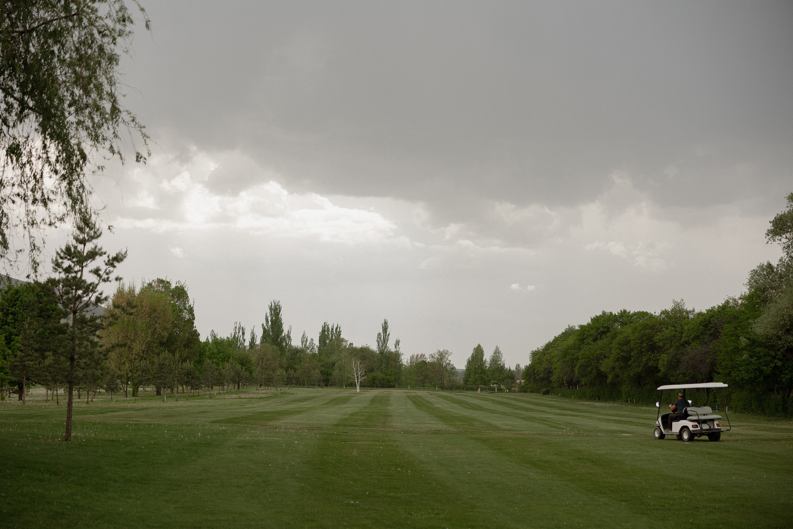 Максим и Виктория. Азимжан Нуритдинходжаев — свадебный фотограф