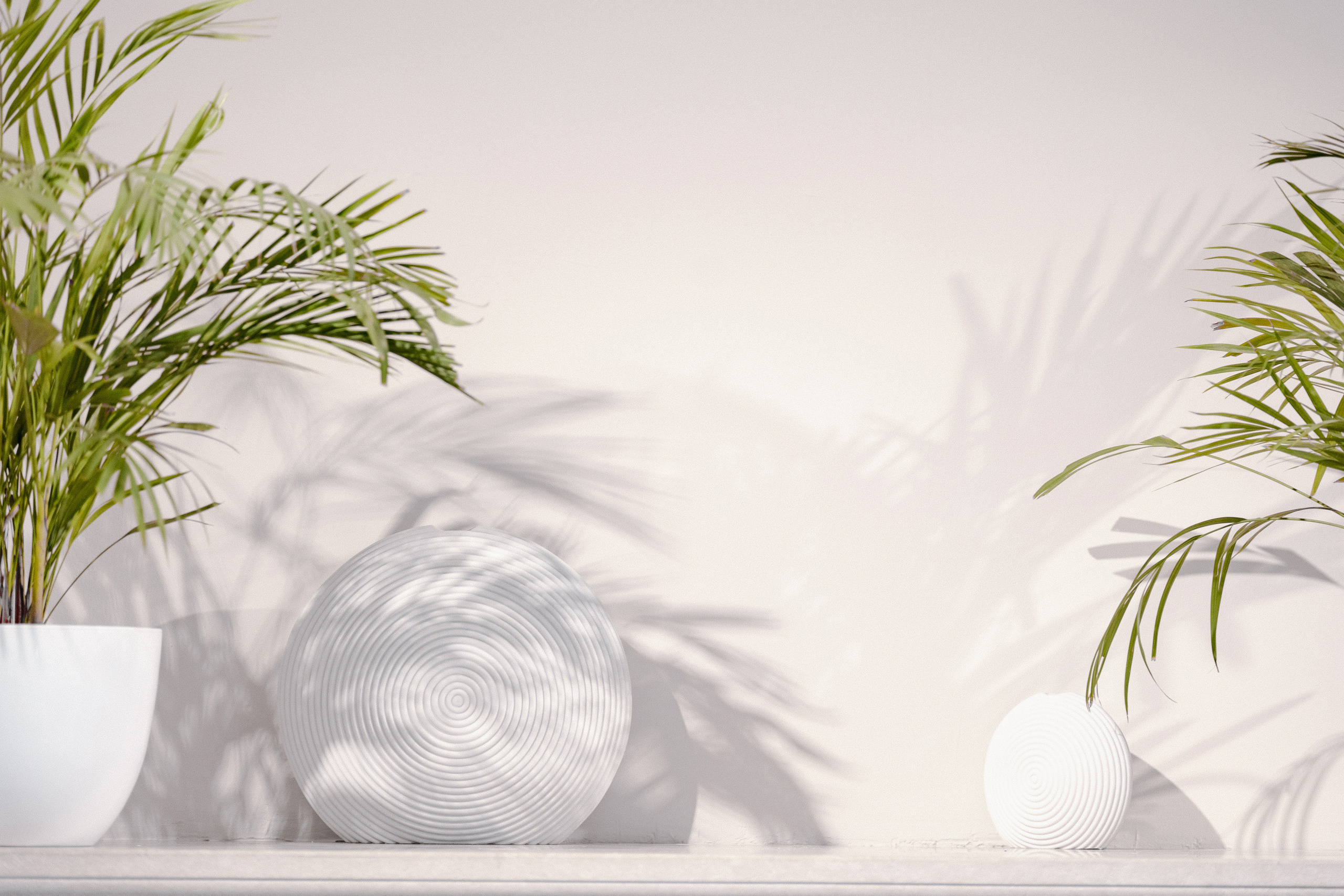 Темирлан и Раиса. Азимжан Нуритдинходжаев — свадебный фотограф