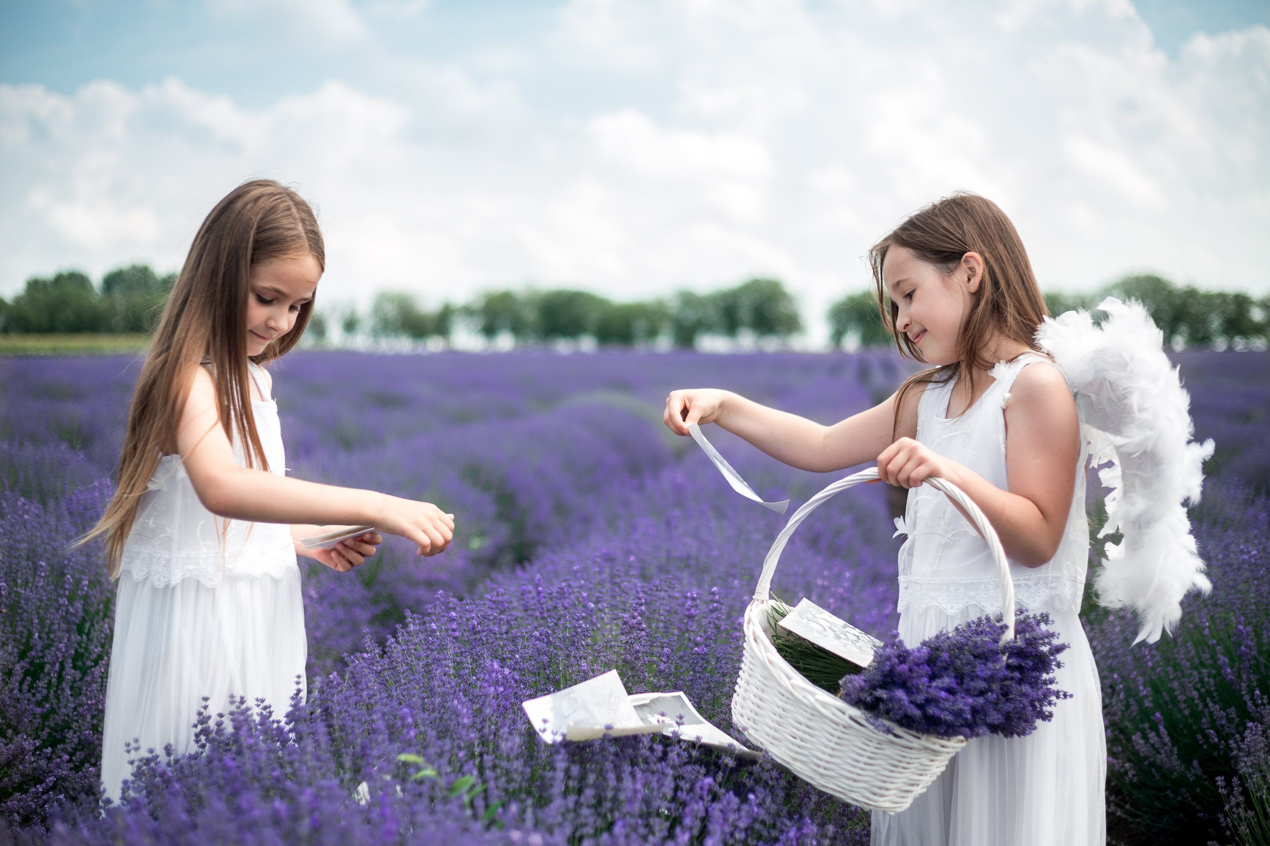 LAVANDA. Fotograf de nuntă și familie în Chișinău Sava Simion