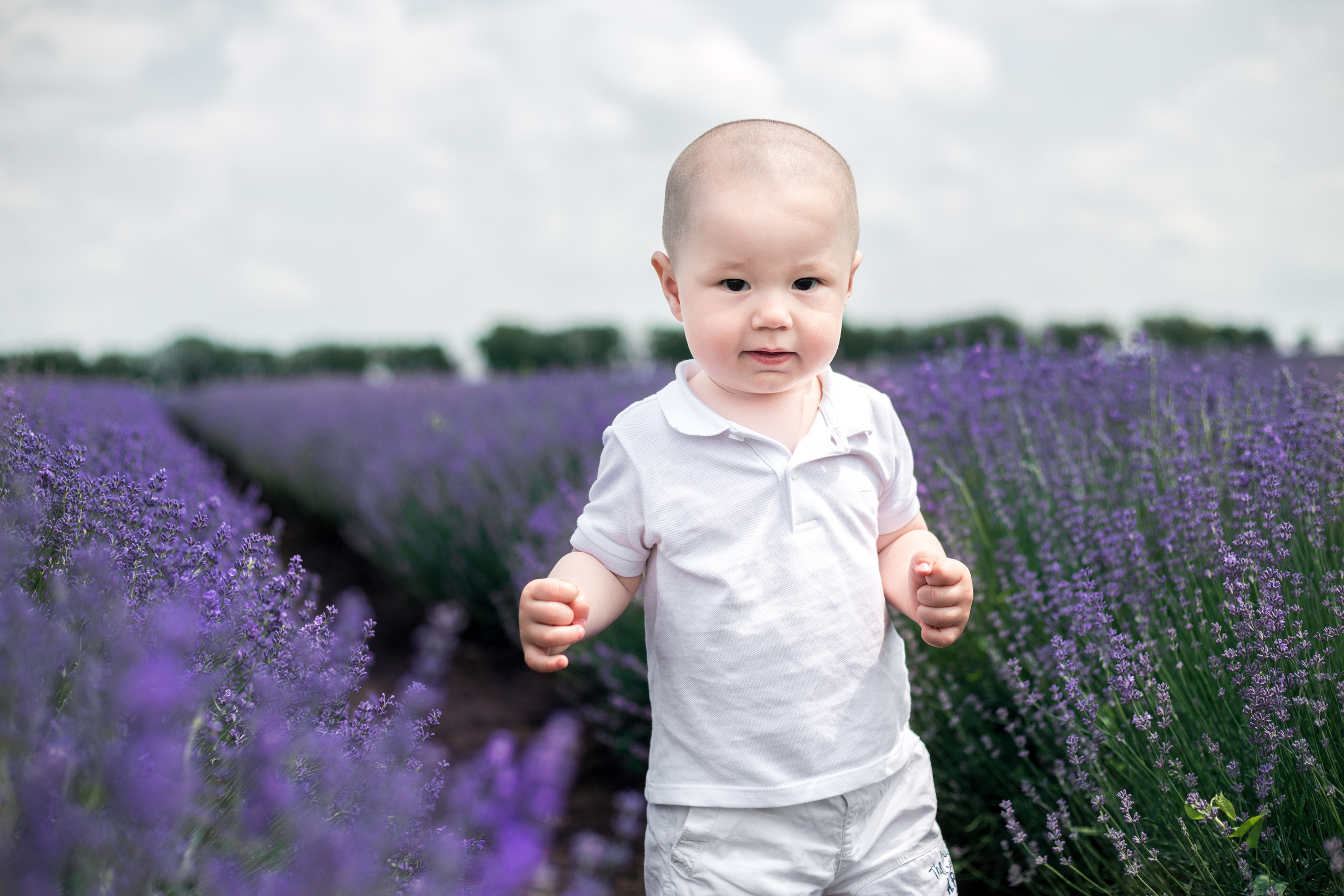 LAVANDA. Fotograf de nuntă și familie în Chișinău Sava Simion