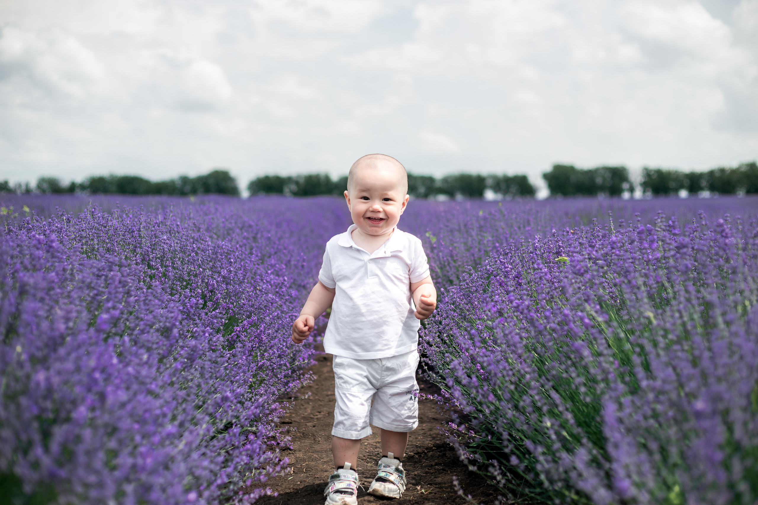 LAVANDA. Fotograf de nuntă și familie în Chișinău Sava Simion