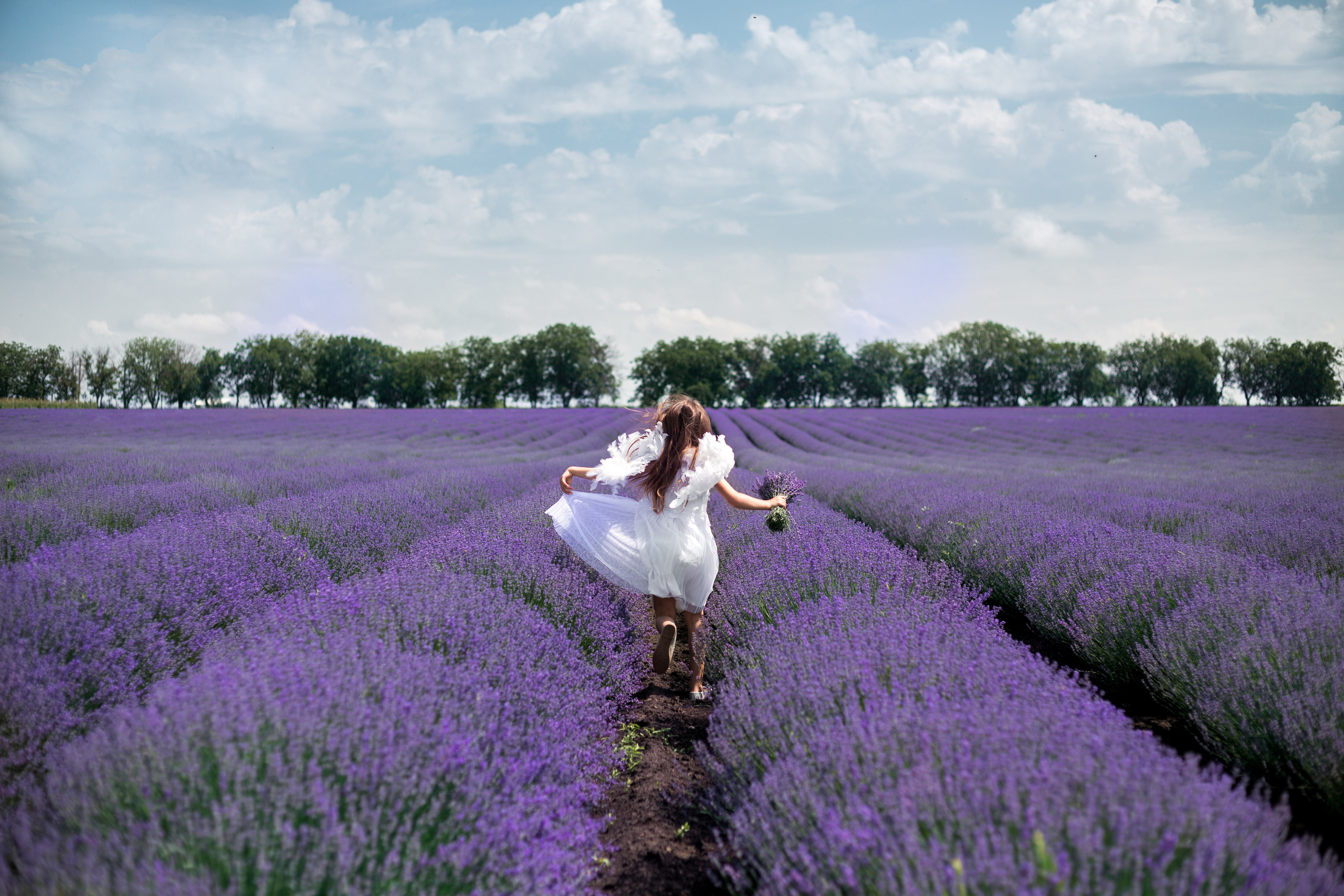 LAVANDA. Fotograf de nuntă și familie în Chișinău Sava Simion