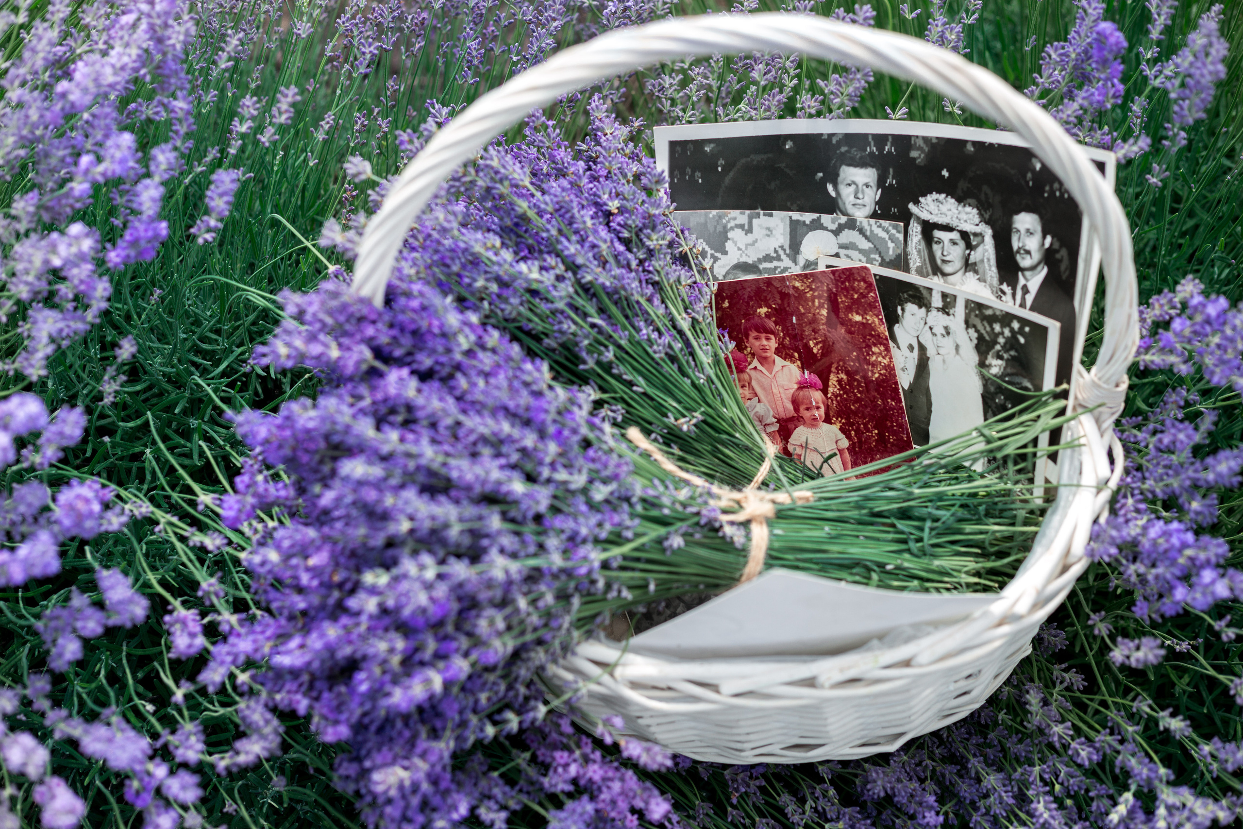 LAVANDA. Fotograf de nuntă și familie în Chișinău Sava Simion