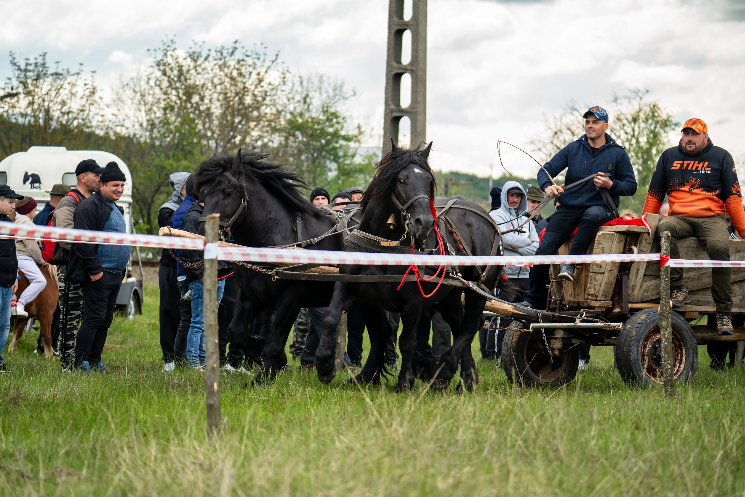 Concurs Ecvestru Vărbilău ediția a 4-a. Mihai Alexandra Events