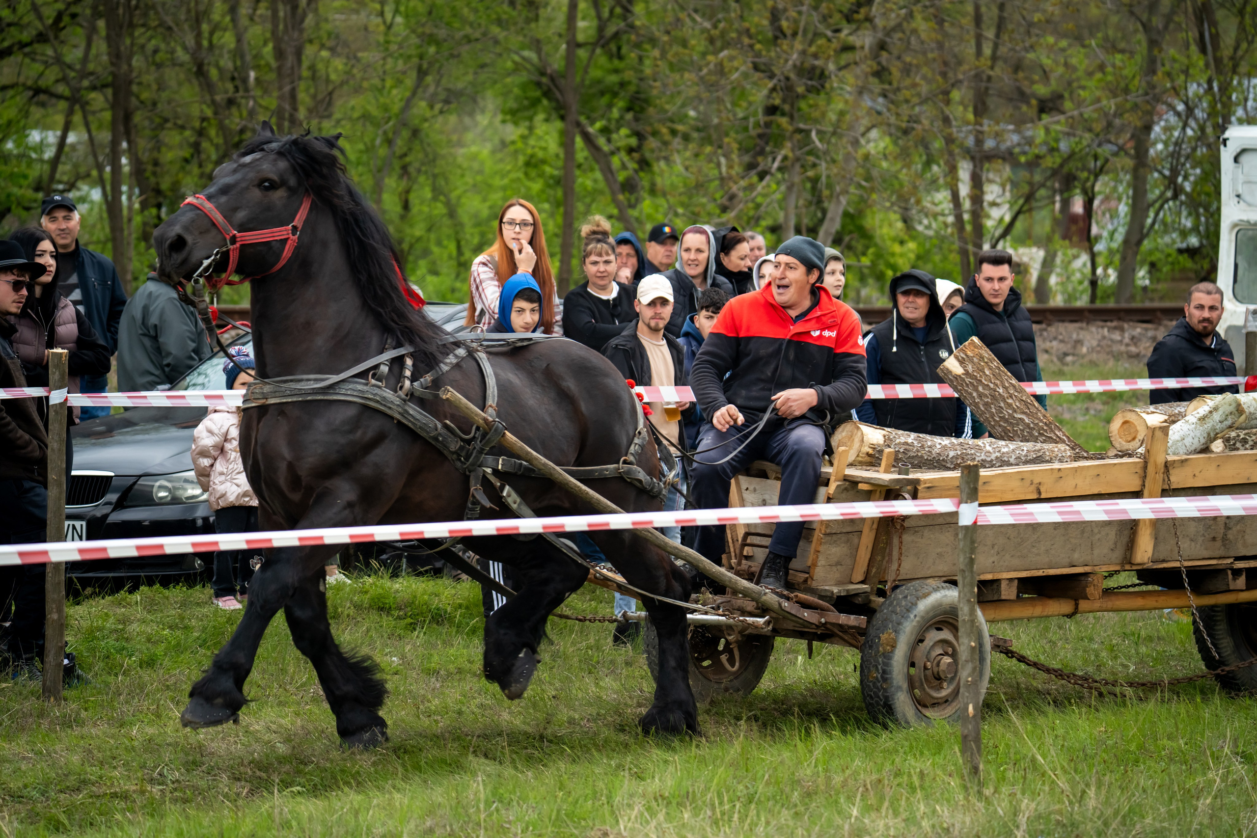 Concurs Ecvestru Vărbilău ediția a 4-a. Mihai Alexandra Events