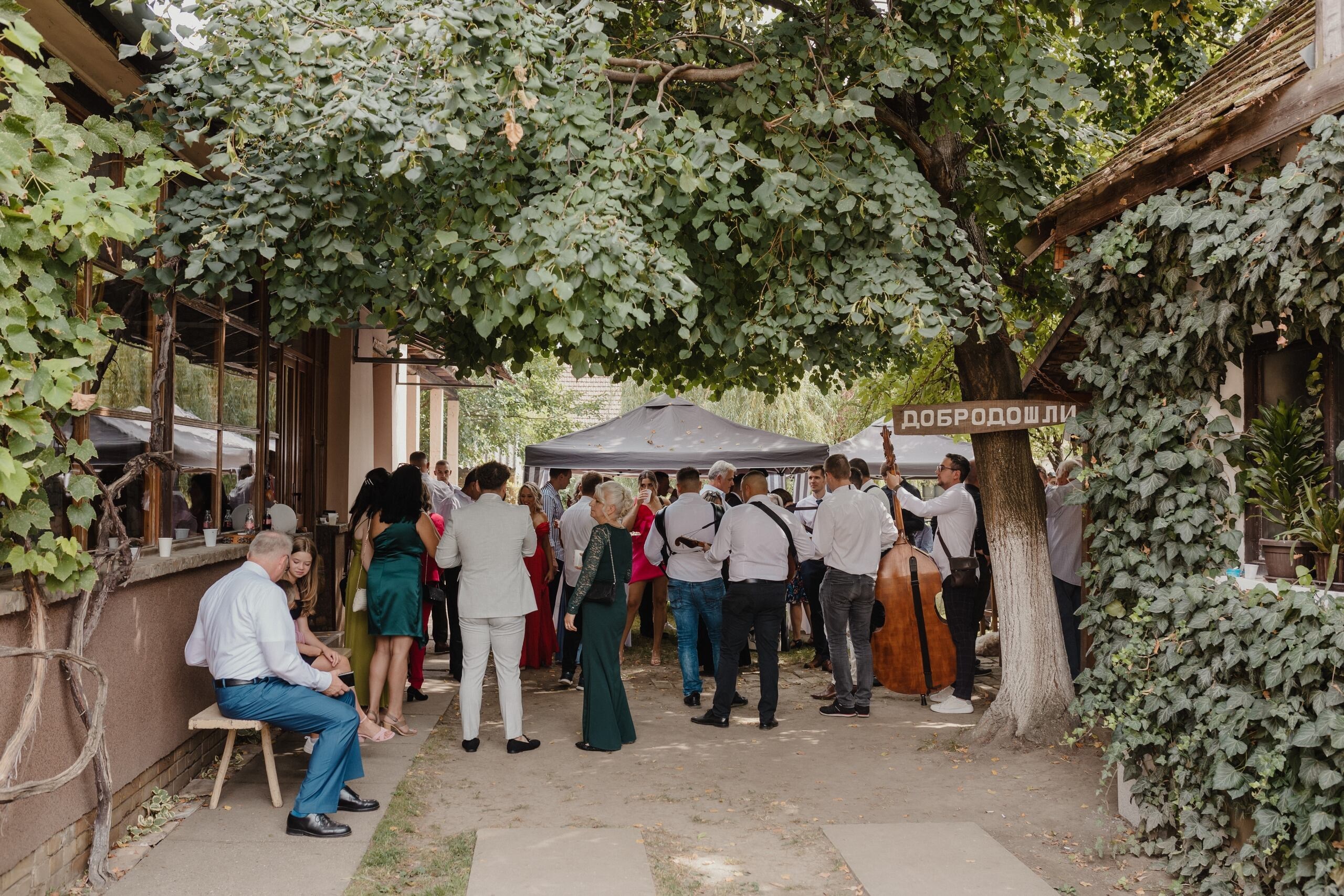 Jovana & Zoran. Wedding photographer based in Novi Sad, Marko Milivojevic