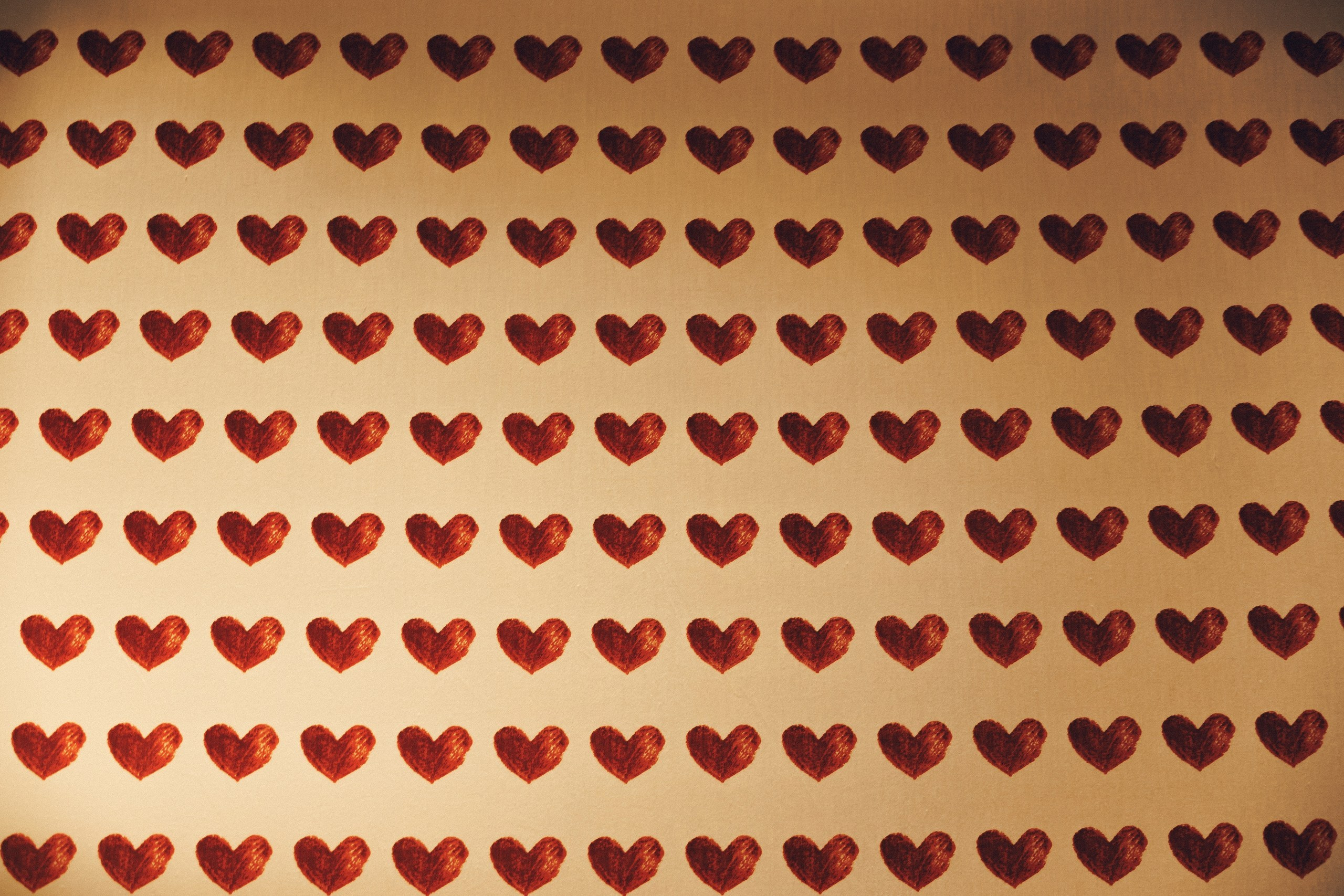 Bogdan & Azaliya. Азимжан Нуритдинходжаев — свадебный фотограф