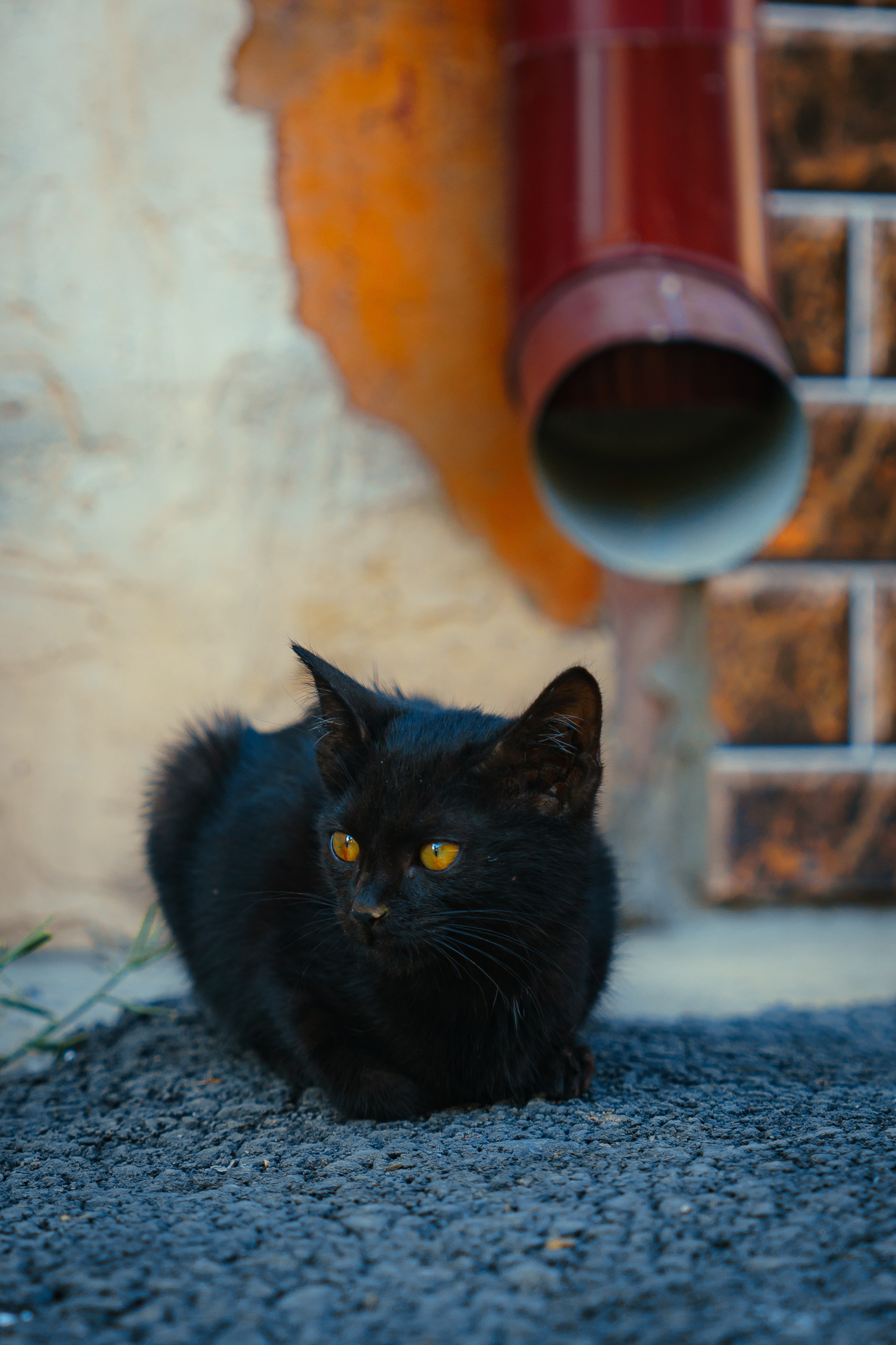 Стрит и Урбан. Георгий Намазов | Фотограф в Ташкенте