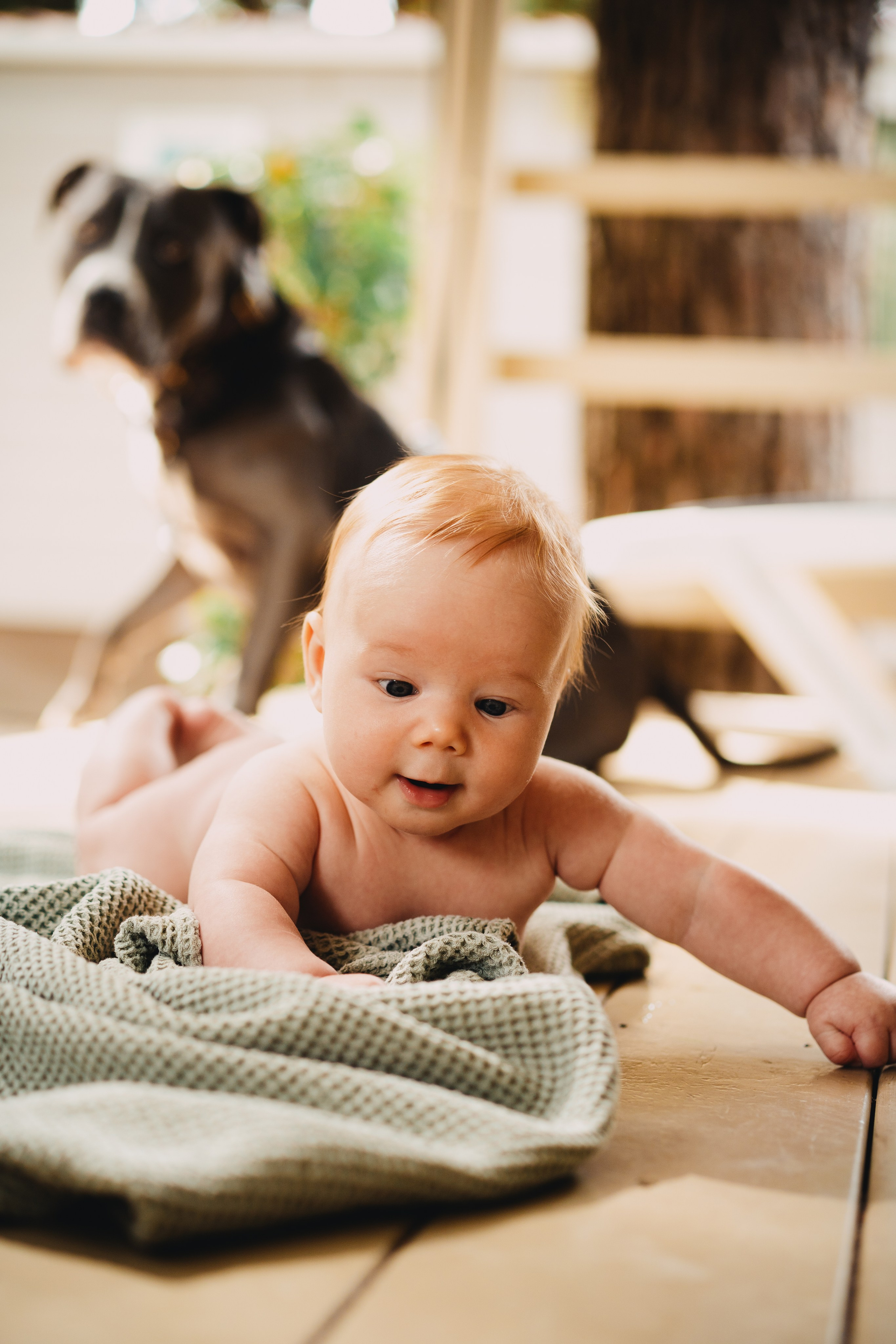 Baby. Elena Baturina Photography