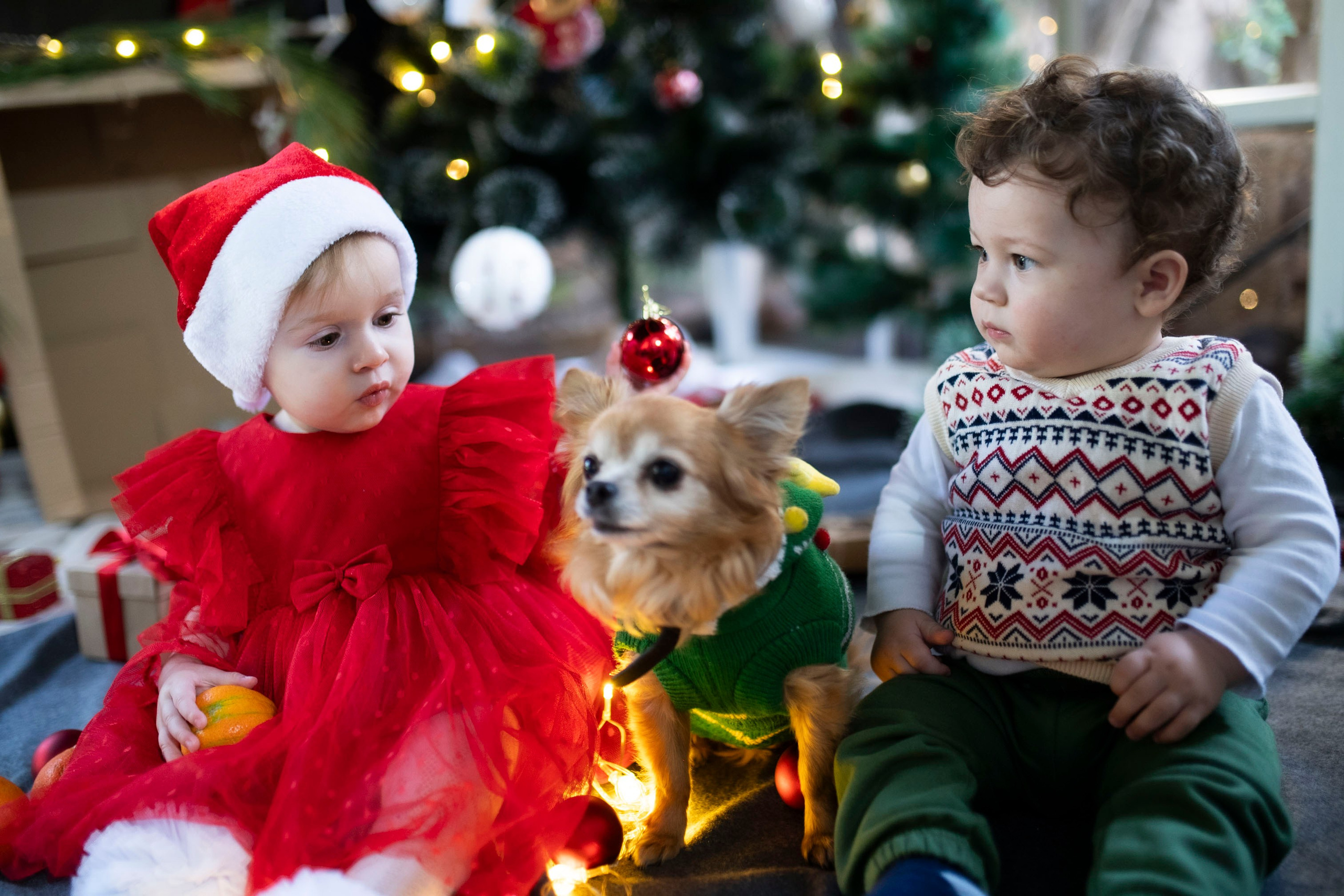 Christmas in Kindergarten. KATY GOLD PHOTOGRAPHY