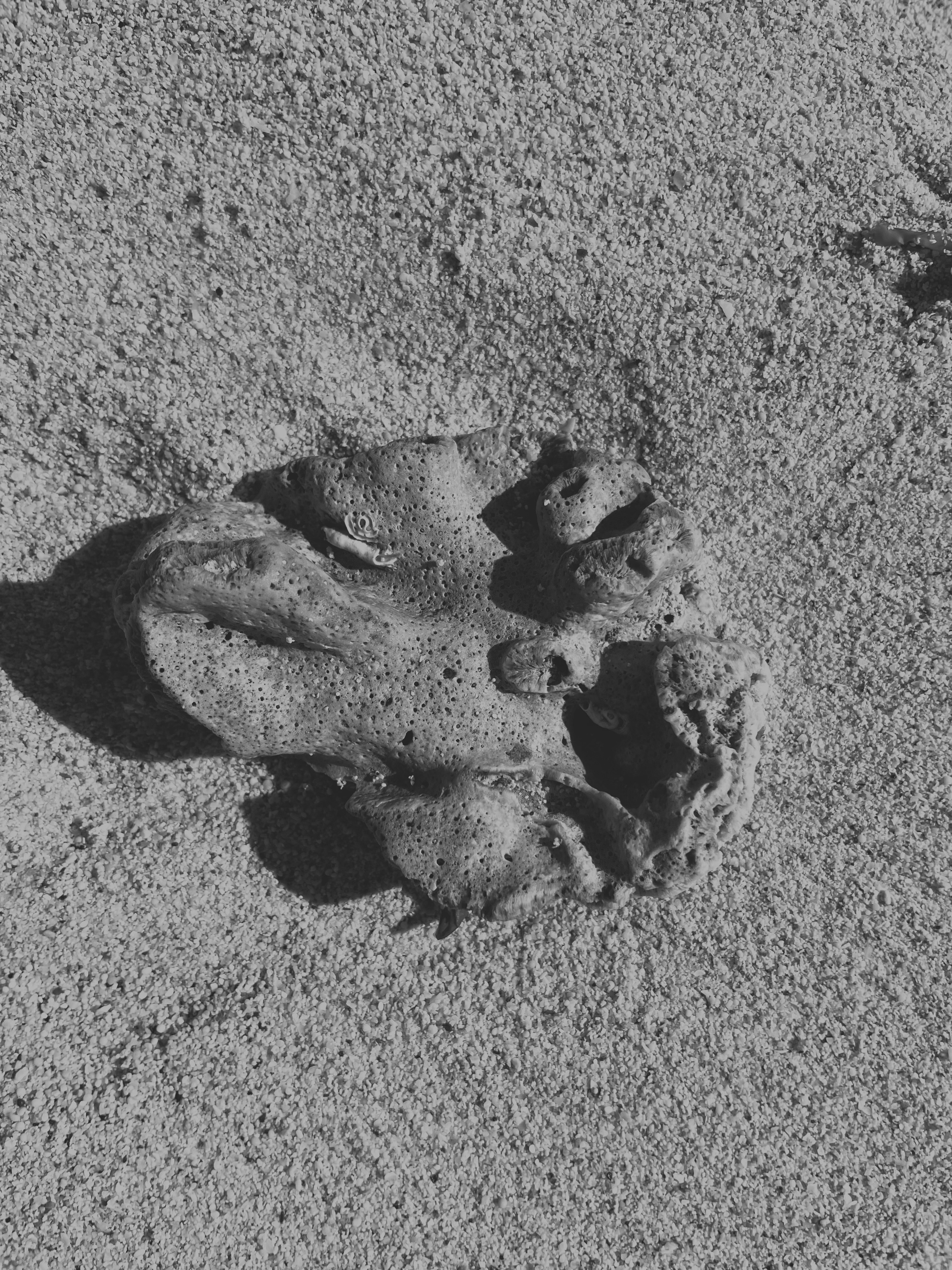 Portrait, lookbook and family photographer in Riga, LATVIA