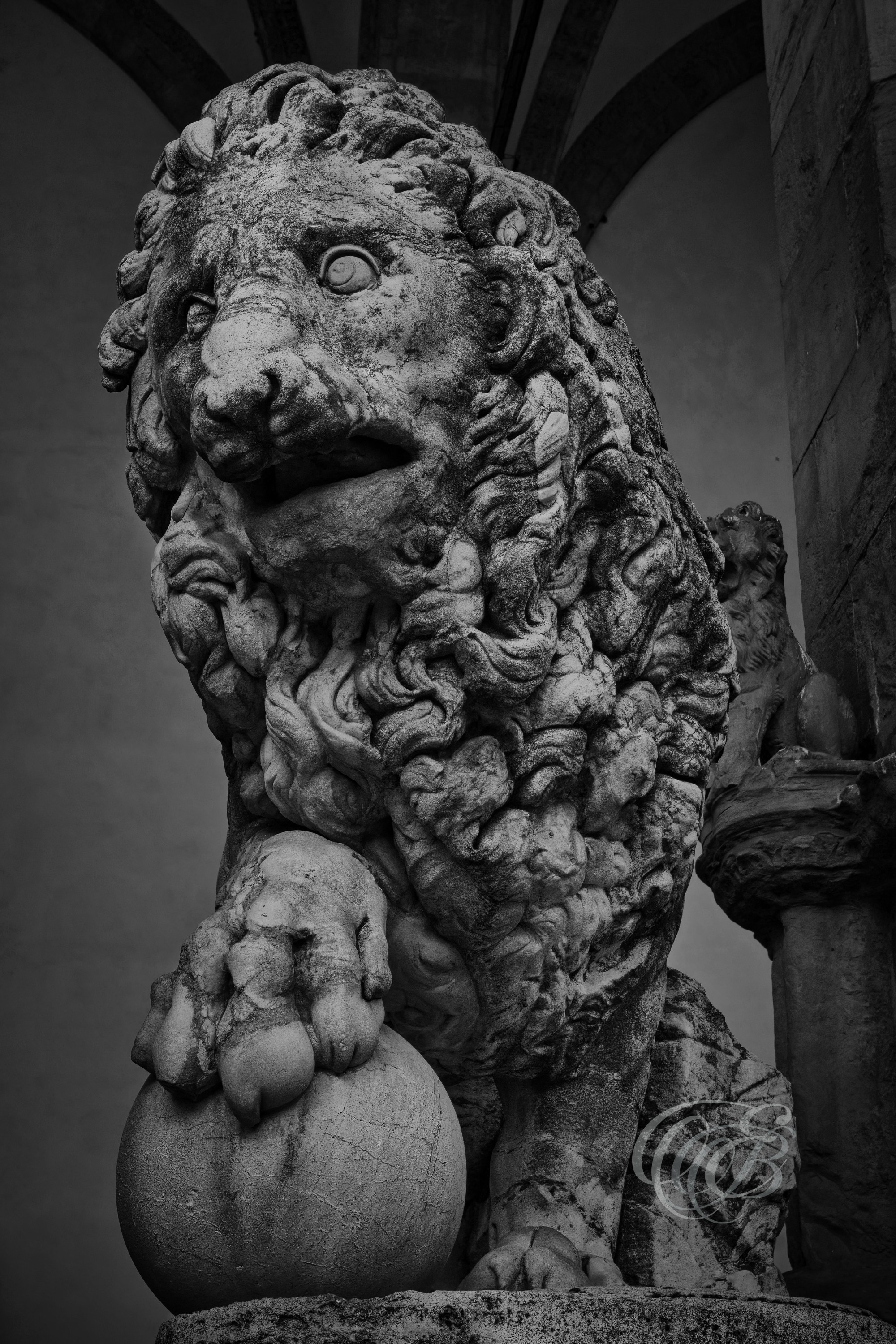 Florence Italy - Ancient Medici Lion with Loggia - B&W - Eduardo Bartoli Fine Art Photography - Black-and-white photograph of the ancient Medici lion at the Loggia dei Lanzi with the arches of the Loggia in the background, Florence, Italy – fine art photography by Eduardo Bartoli.