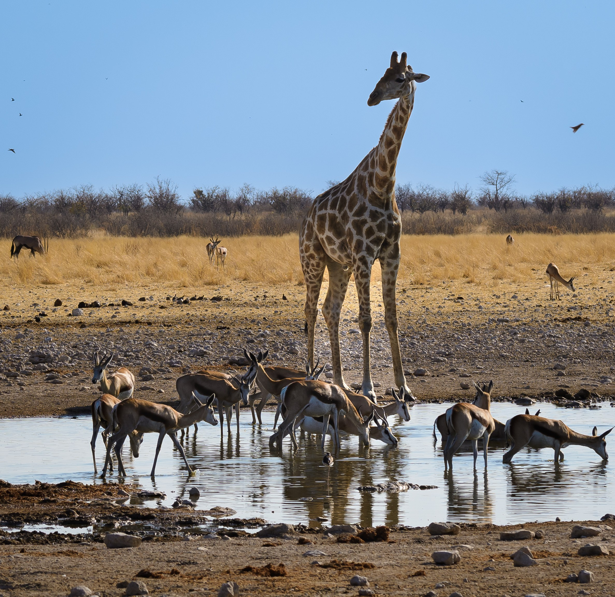 Travel. Klausenburg Photography