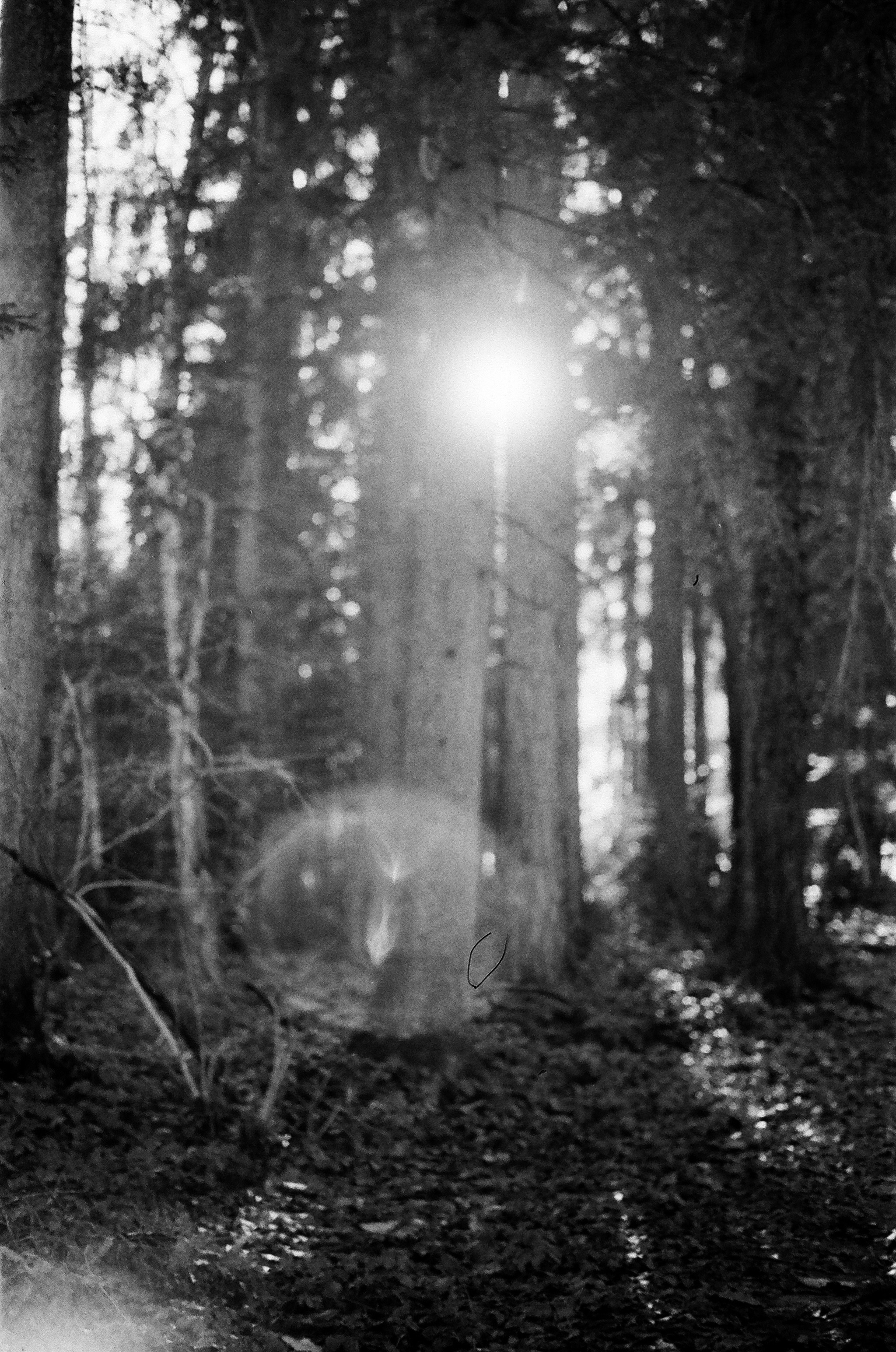 Argentique 🎞️ 📷. Anastasia Shapoval violoniste et photographe. Paris — Bourges