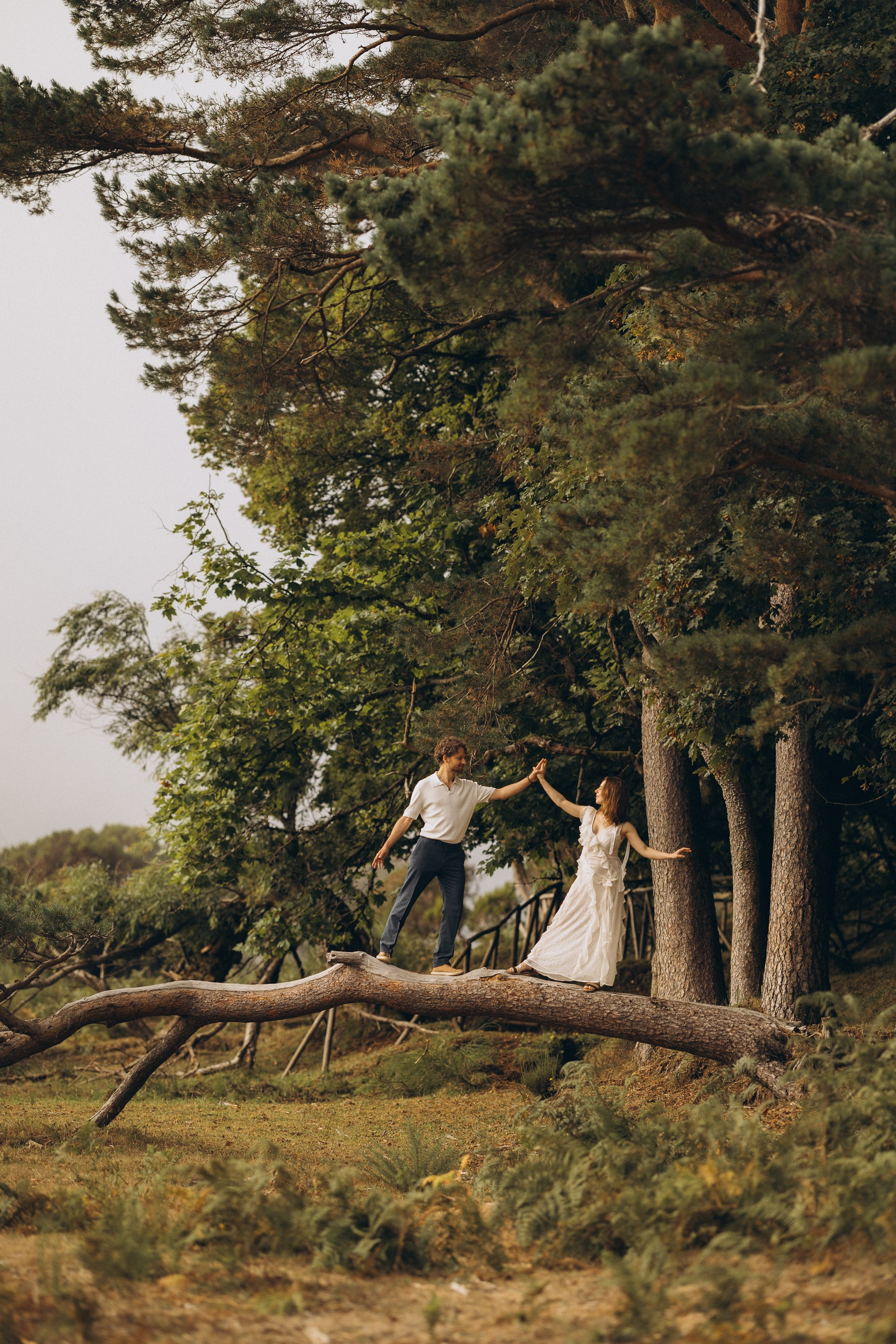 Love story in Fanal Forest