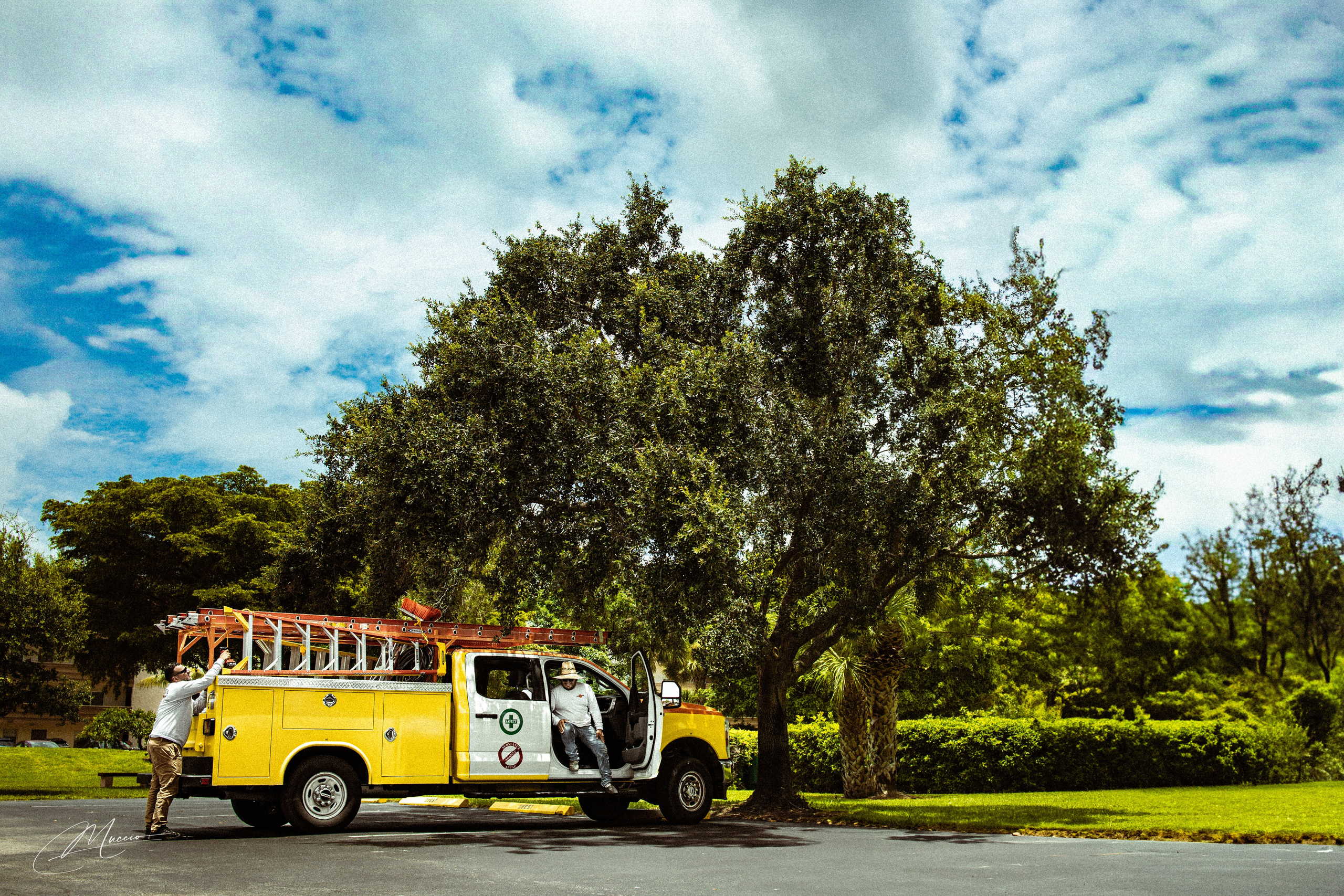 Summer 2025 Series. Out and About 239