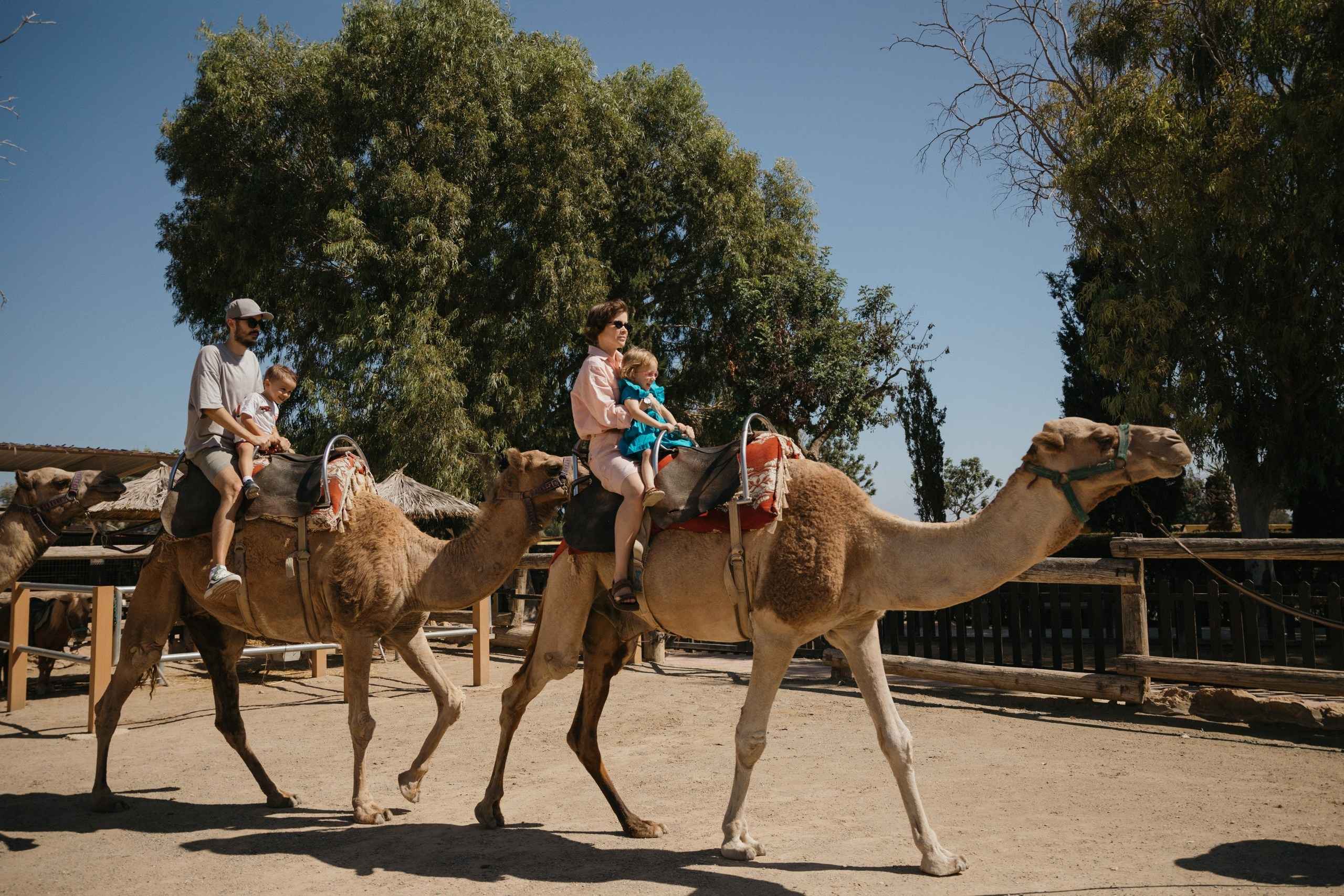 Joyful Moments in Camel park: Olya and Ada’s Day of Fun and Adventure, sliding and riding camels. Photographer in Barcelona capturing unique stories | Kate Chumak