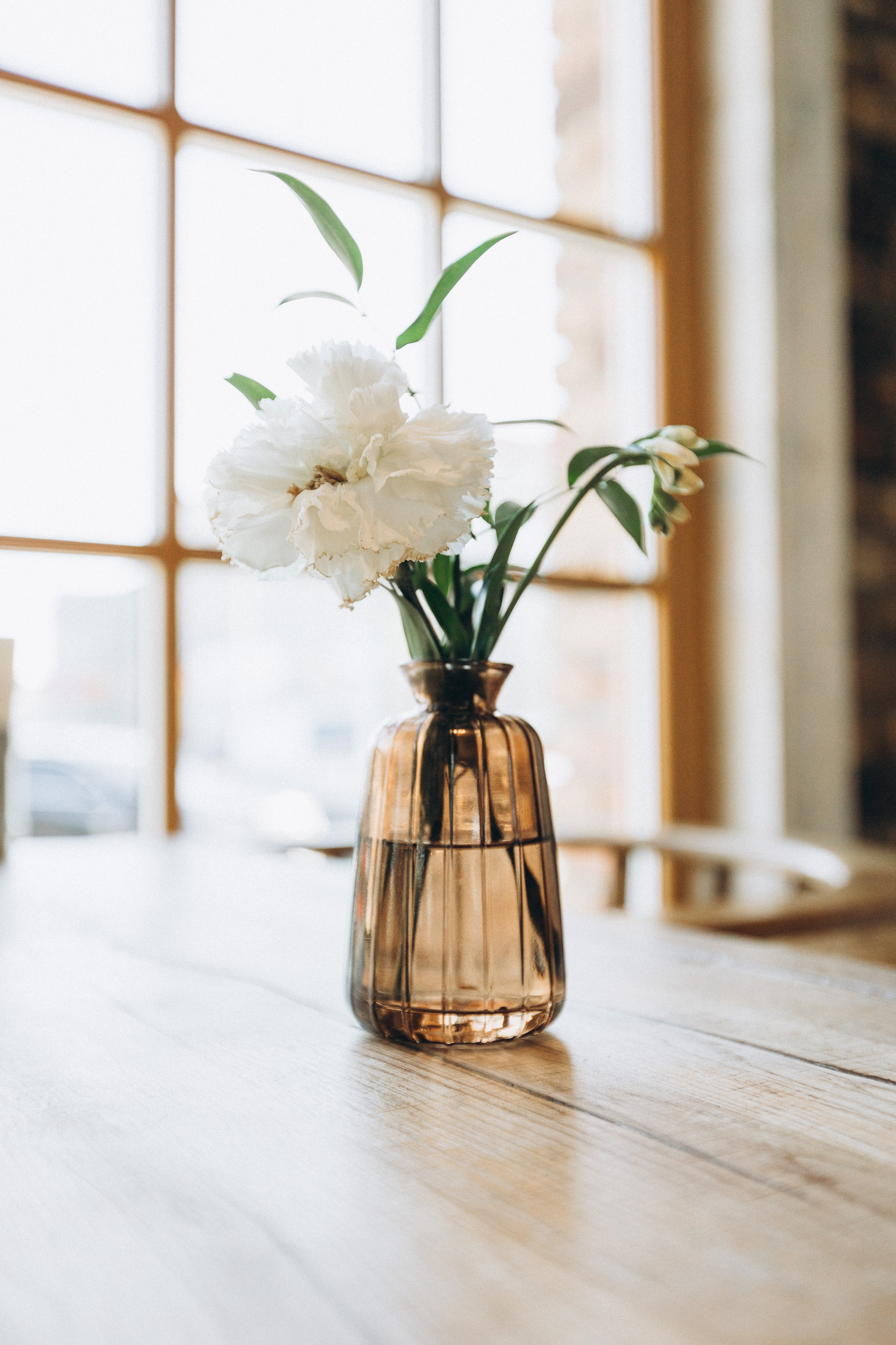 Мережа ресторанів Classic. Ірина Терещук