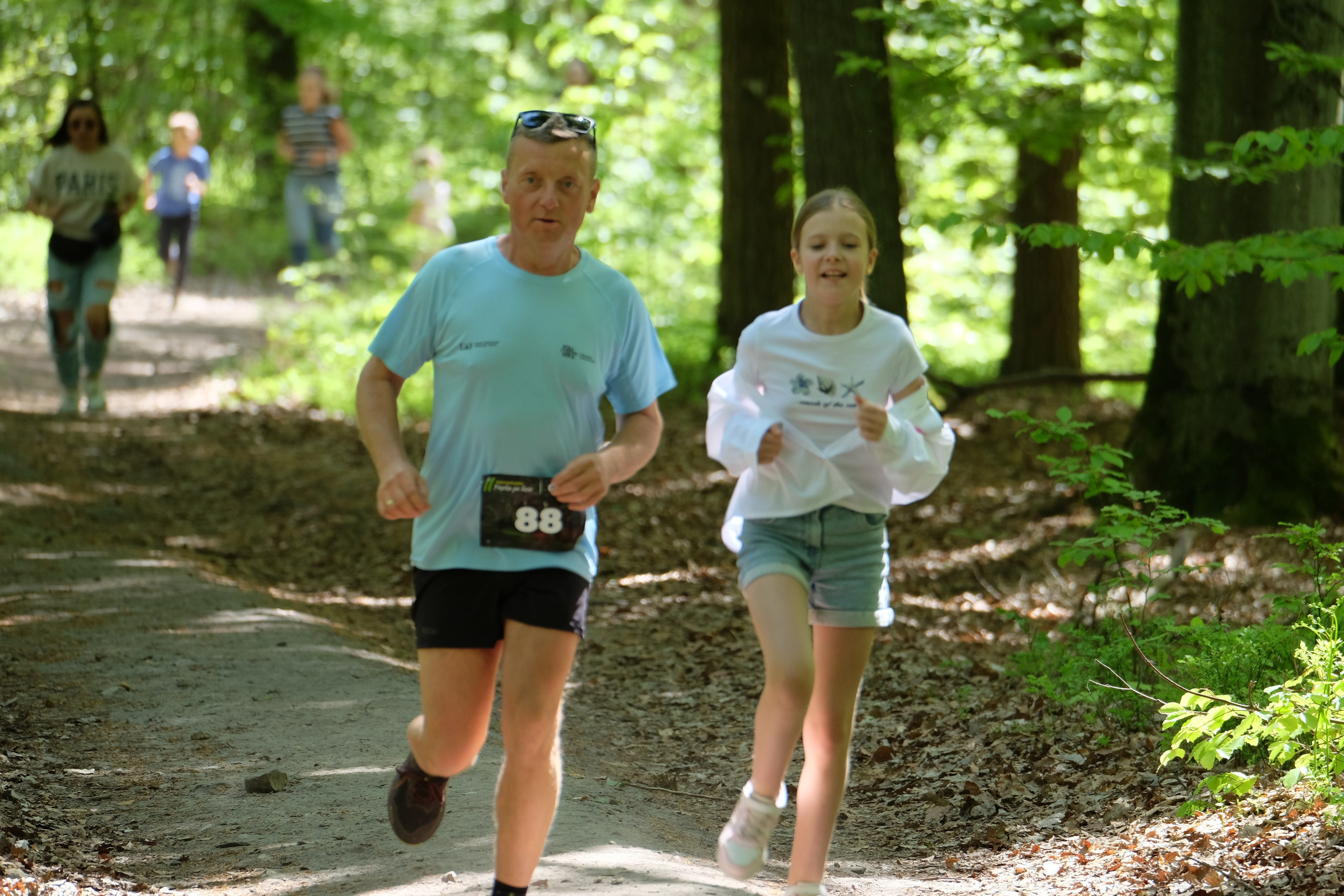 Aleksandryjska Piątka po lesie. Main