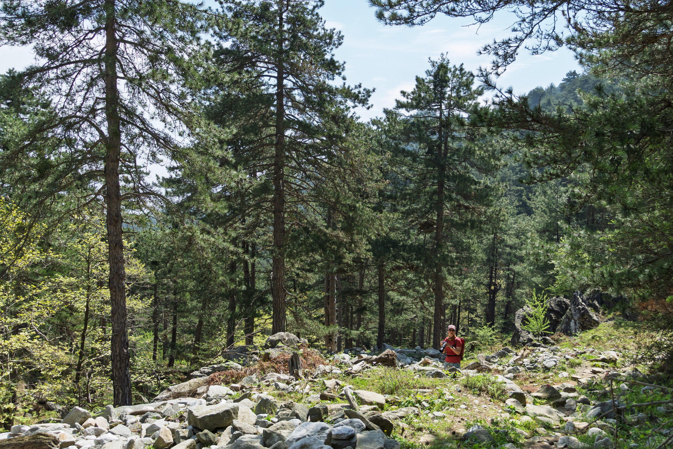 Thasos 2025. Fotografiideplacere.net