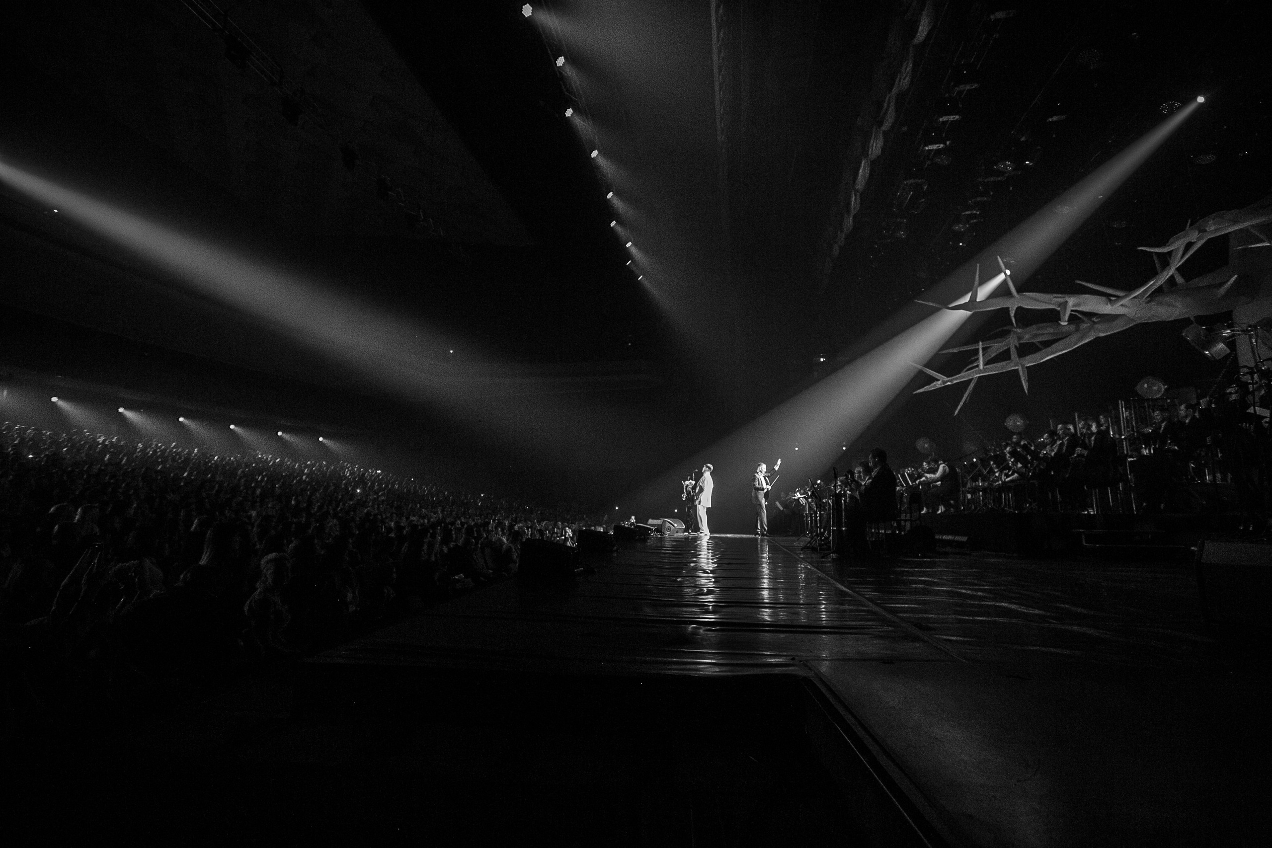 Pivovarov. Репортажний фотограф/анімаліст КИЇВ