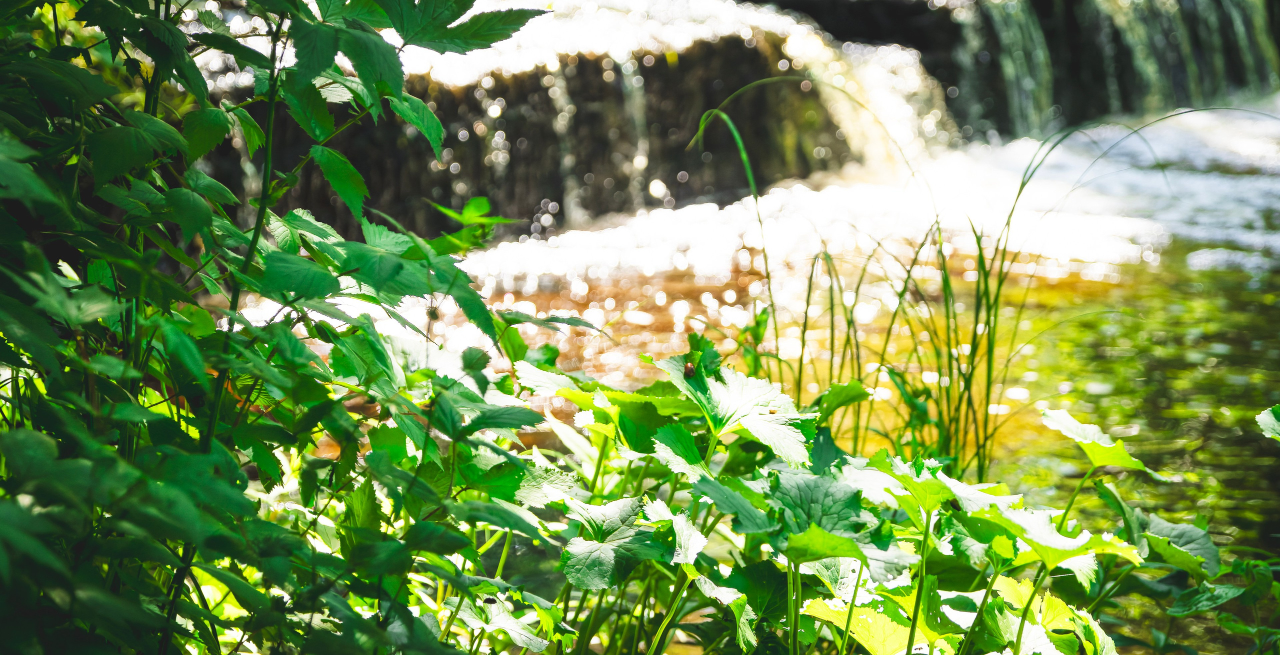 Jalgrattasõti, Klooga-Laagri (Kostja S. ja Ilja). Nebula 25 — Fotod teie hingele