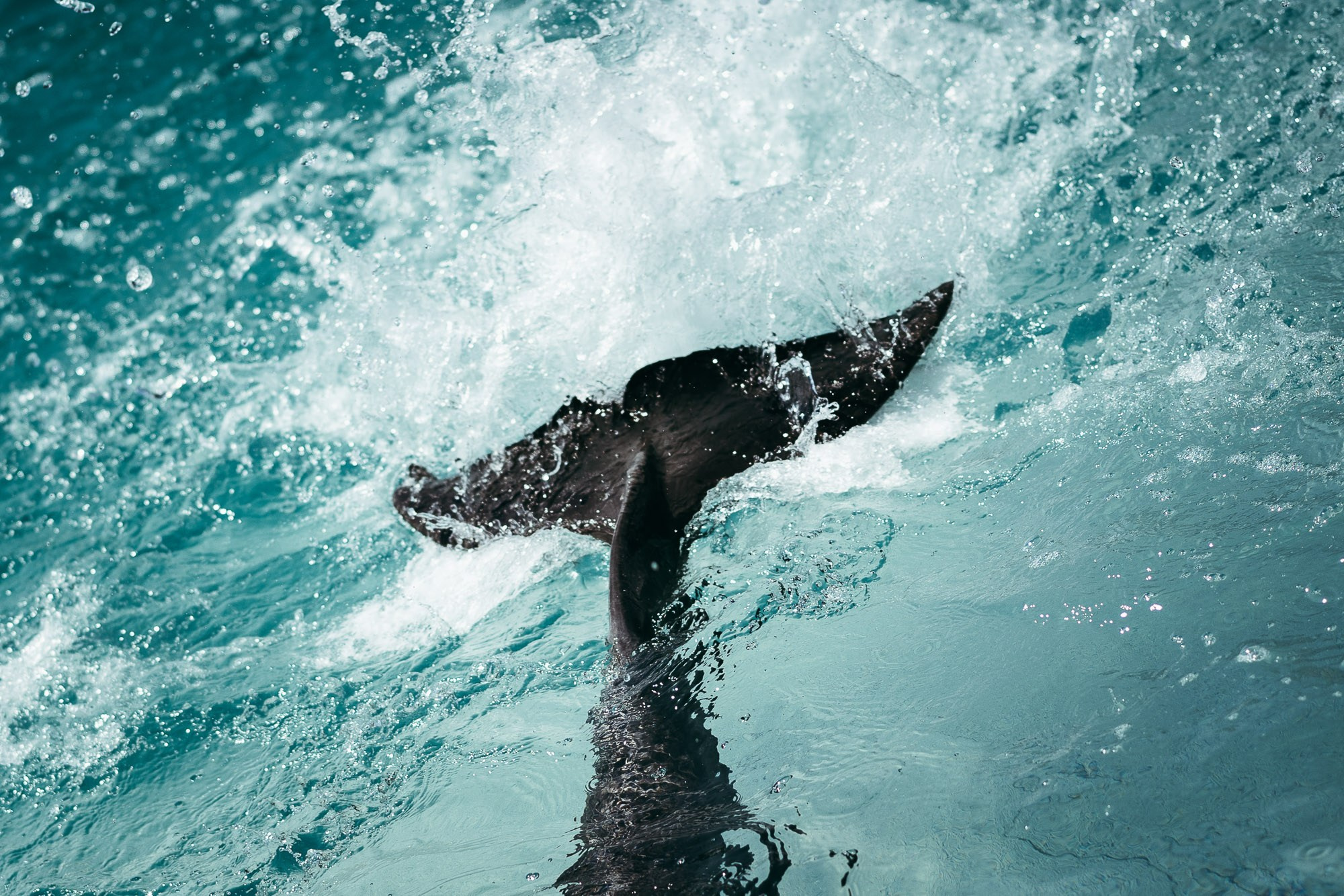 200 kilohertz. Stanislava Novgorodtseva — Photographer | Visual Artist | Educator