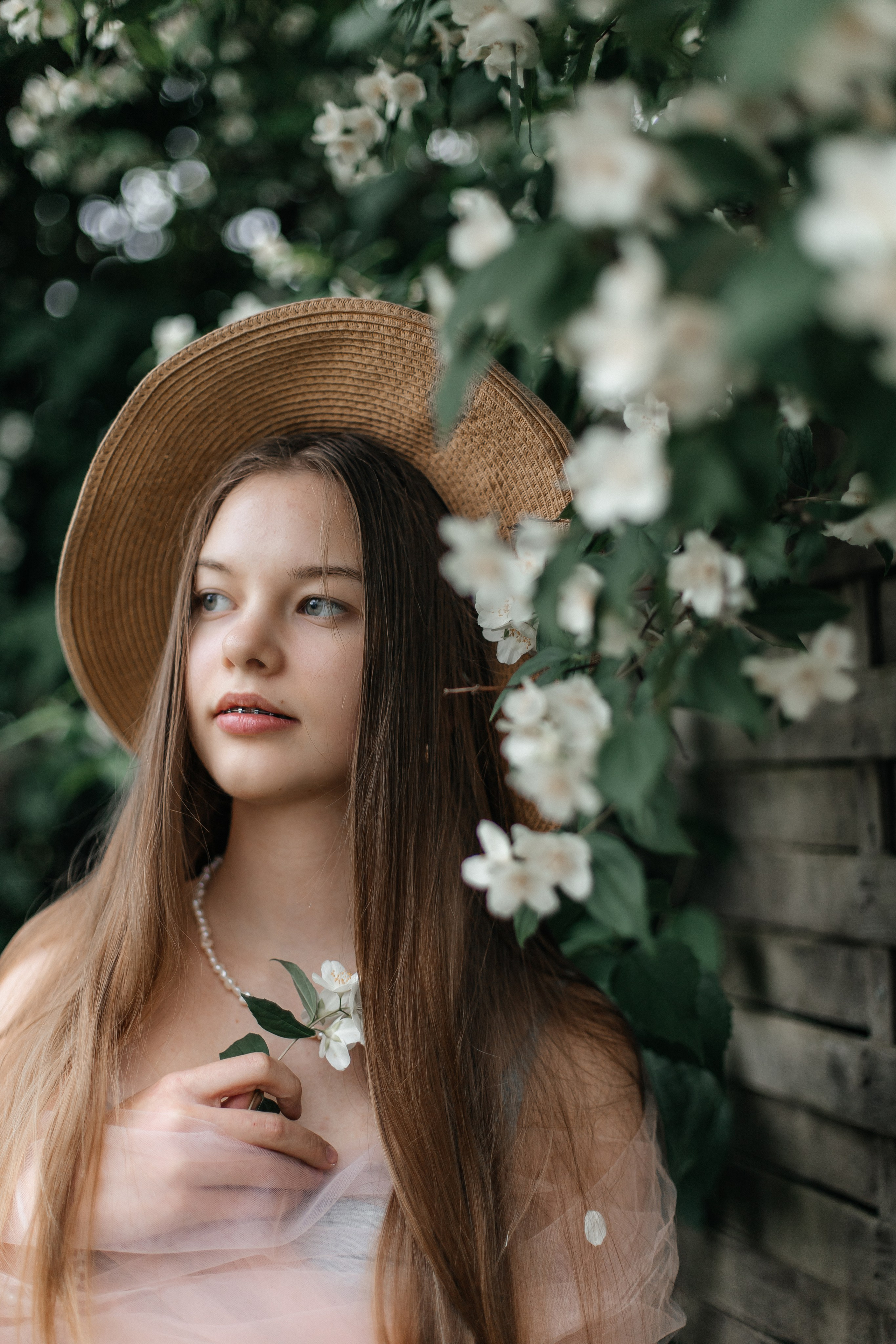 Foto in Jasmin. PHOTOgrapher Germany MARBURG