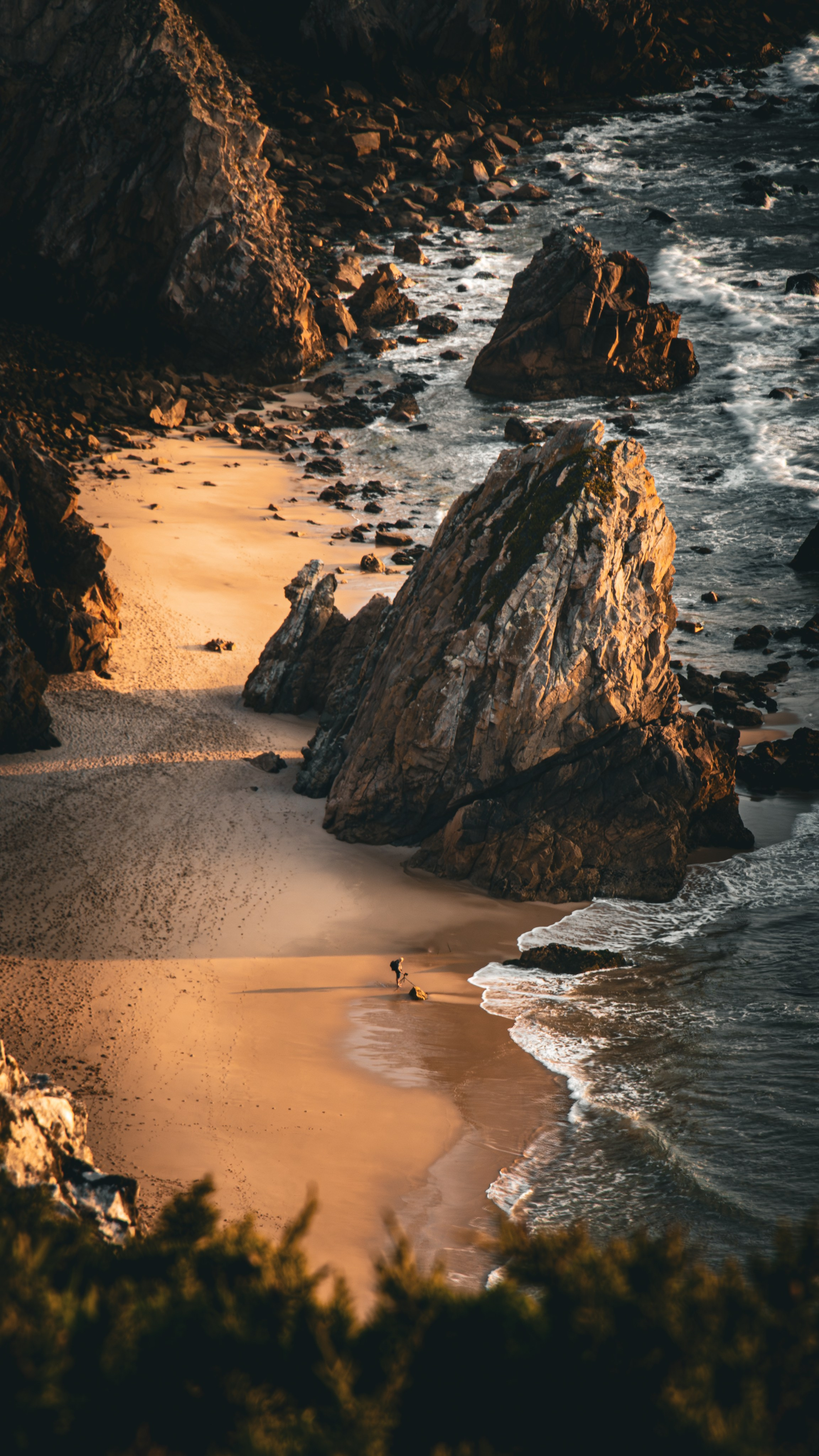 Fotografia de Natureza – Portfólio | Paulo Marques Photography. Paulo Marques Photography