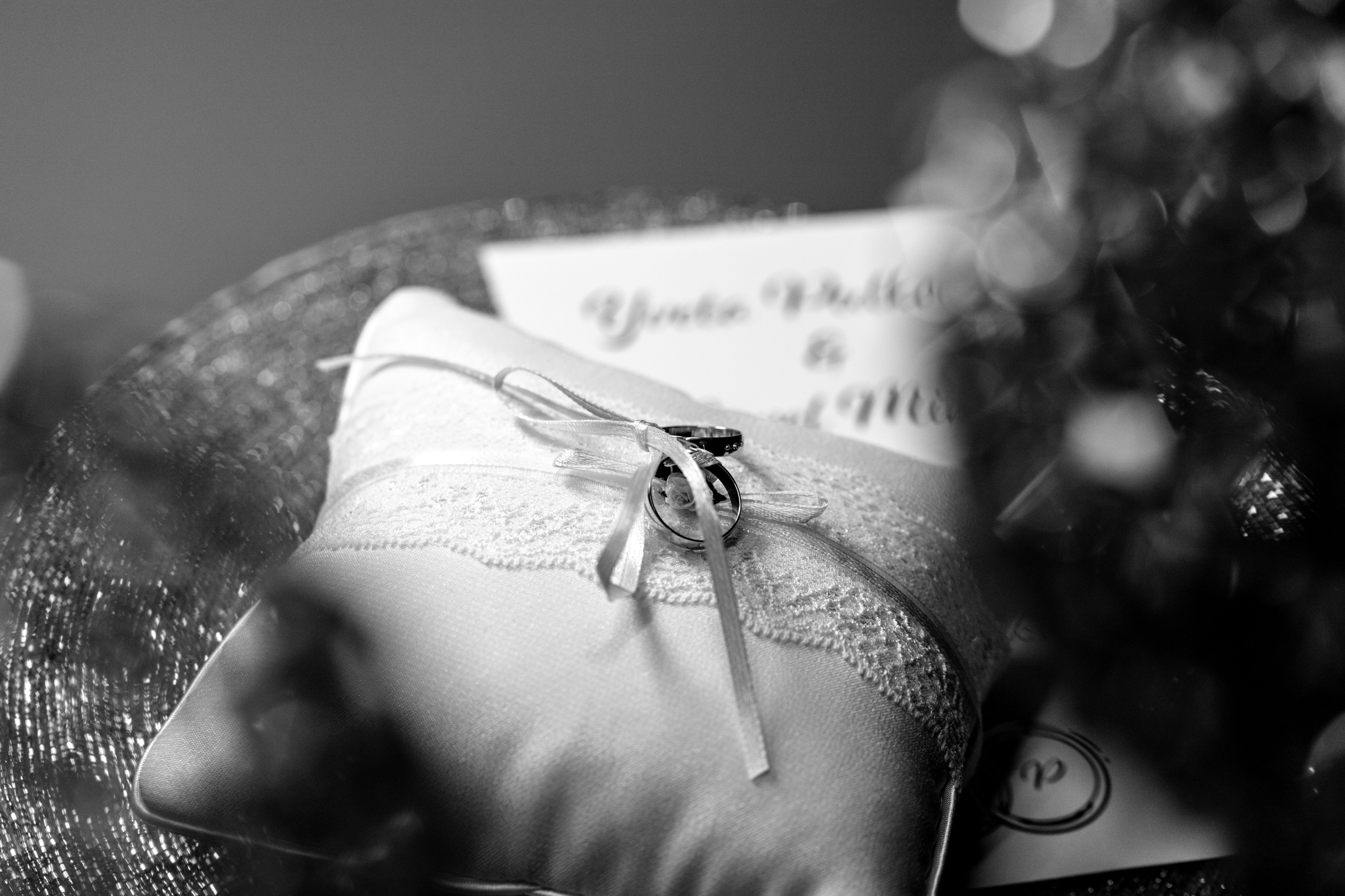 Pavel & Yveta. Svatební fotograf a kameraman v Česku a po celé Evropě — Teplice, Ústí nad Labem, Praha, Drážďany