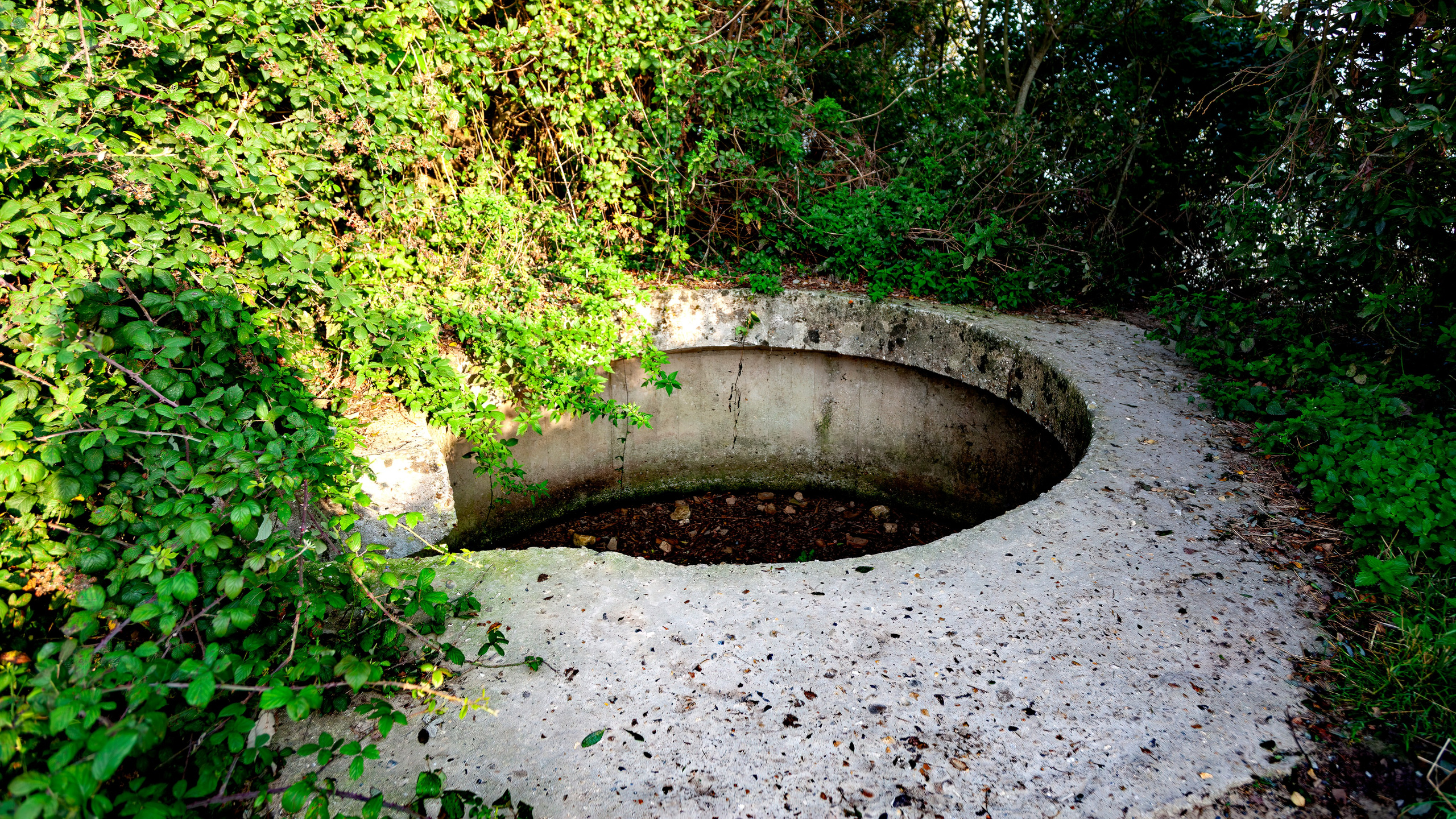 176.Batterie Allemande de Longues-sur-Mer.France.19.9.2024. Путешествия в формате 360......