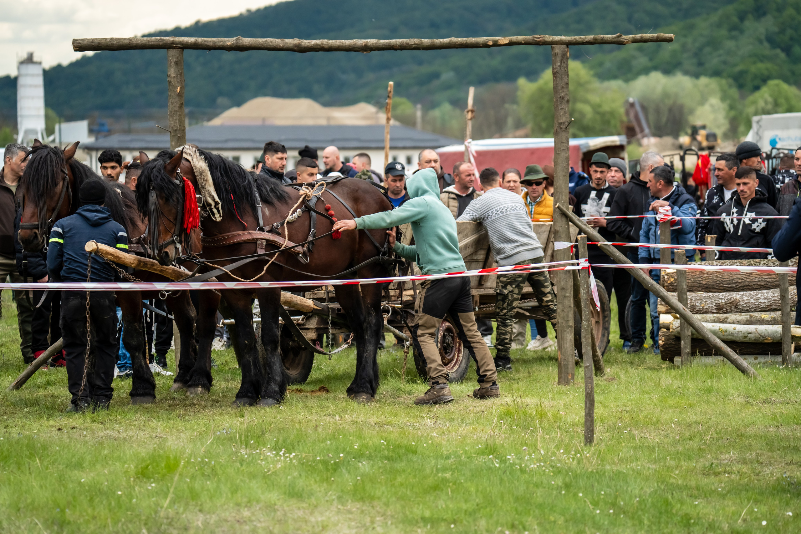 Concurs Ecvestru Vărbilău ediția a 4-a. Mihai Alexandra Events