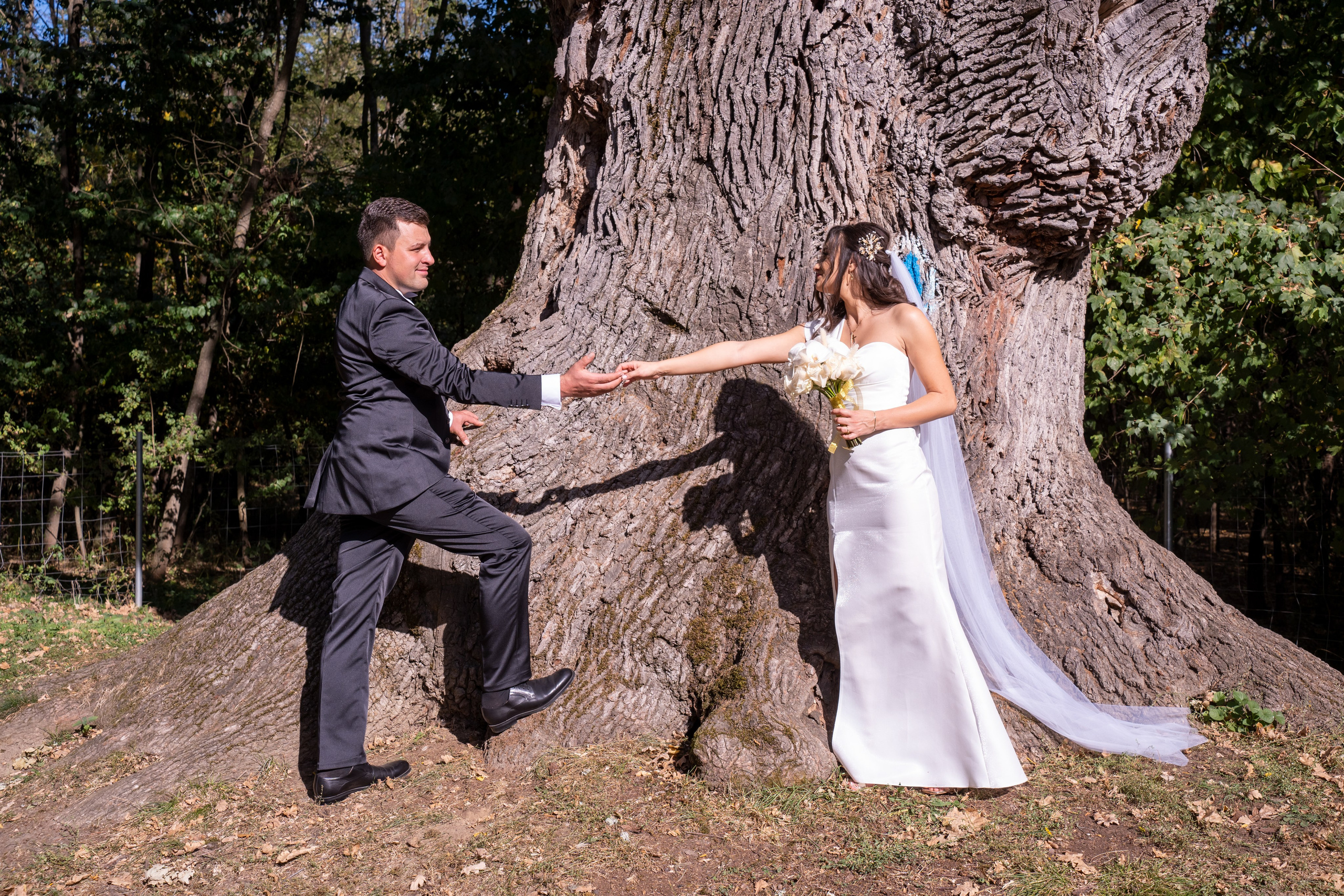 Nuntă Adina & Sorin