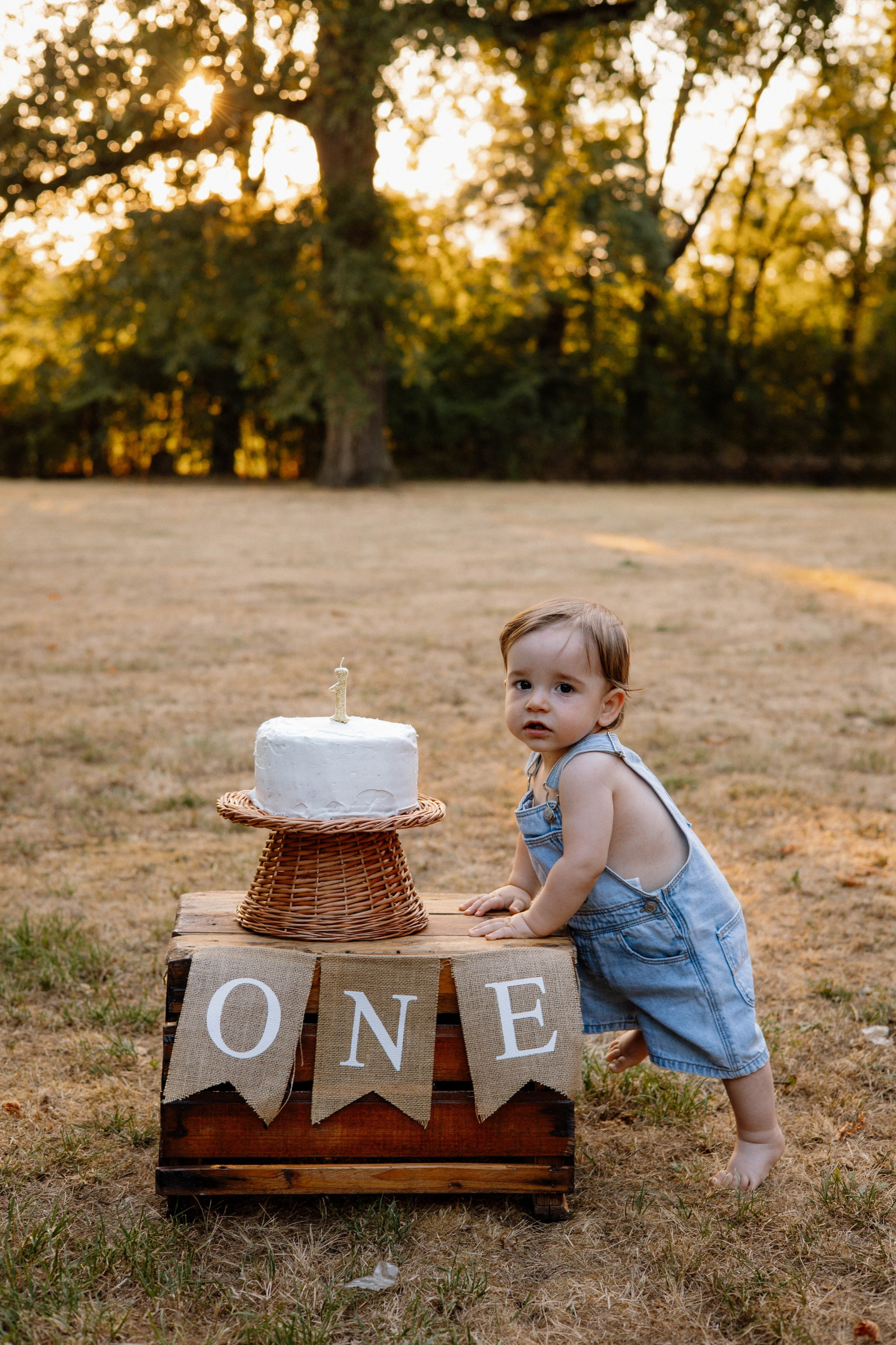 Smash Cake Photography. Family and Wedding Photographer