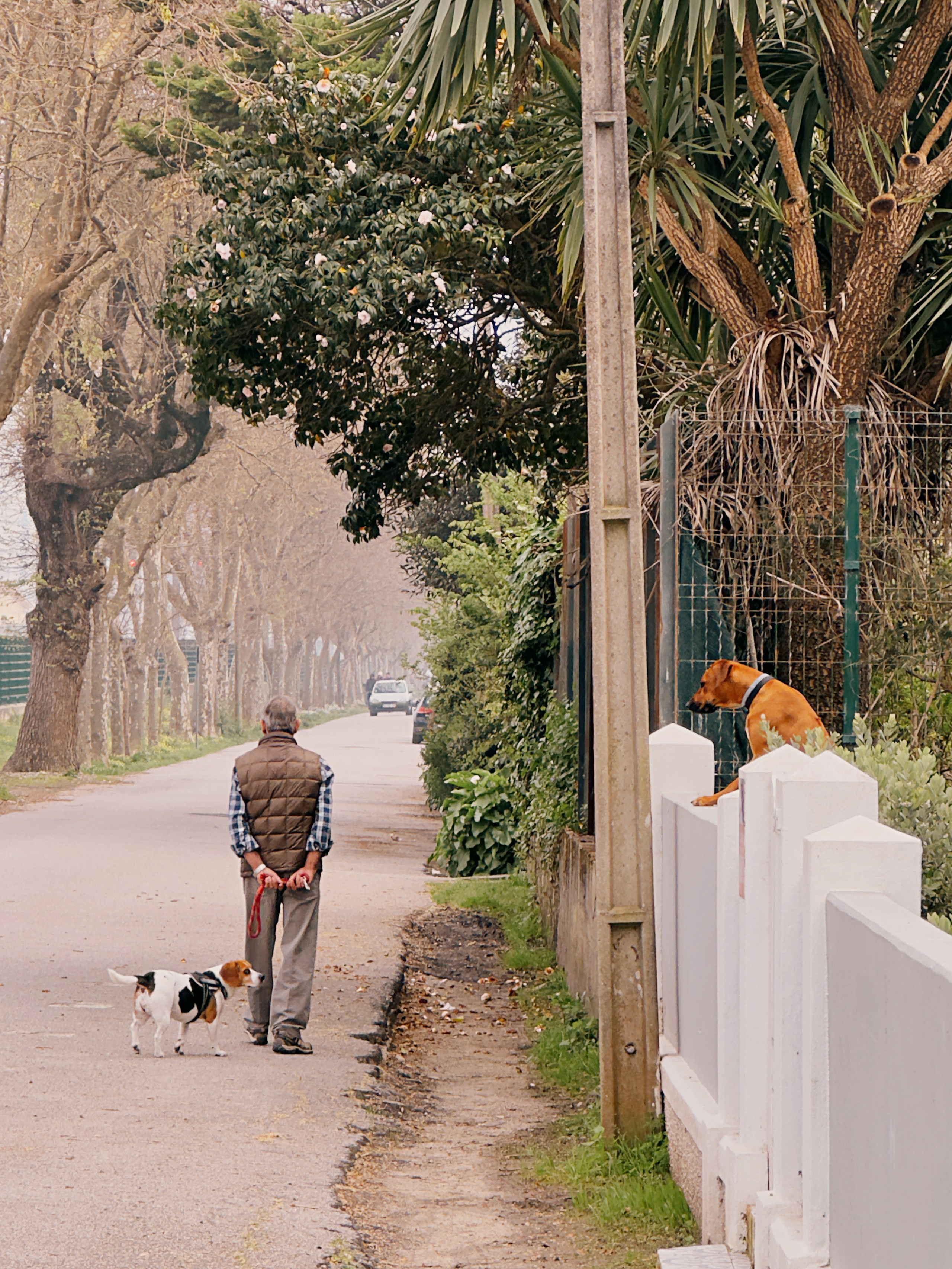 Mobilography. Artem Avanesov. Visual Content Creator